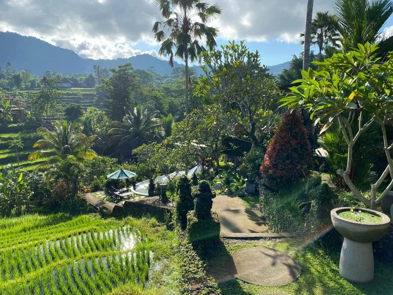 Natural landscape in Abian Ayu Villa