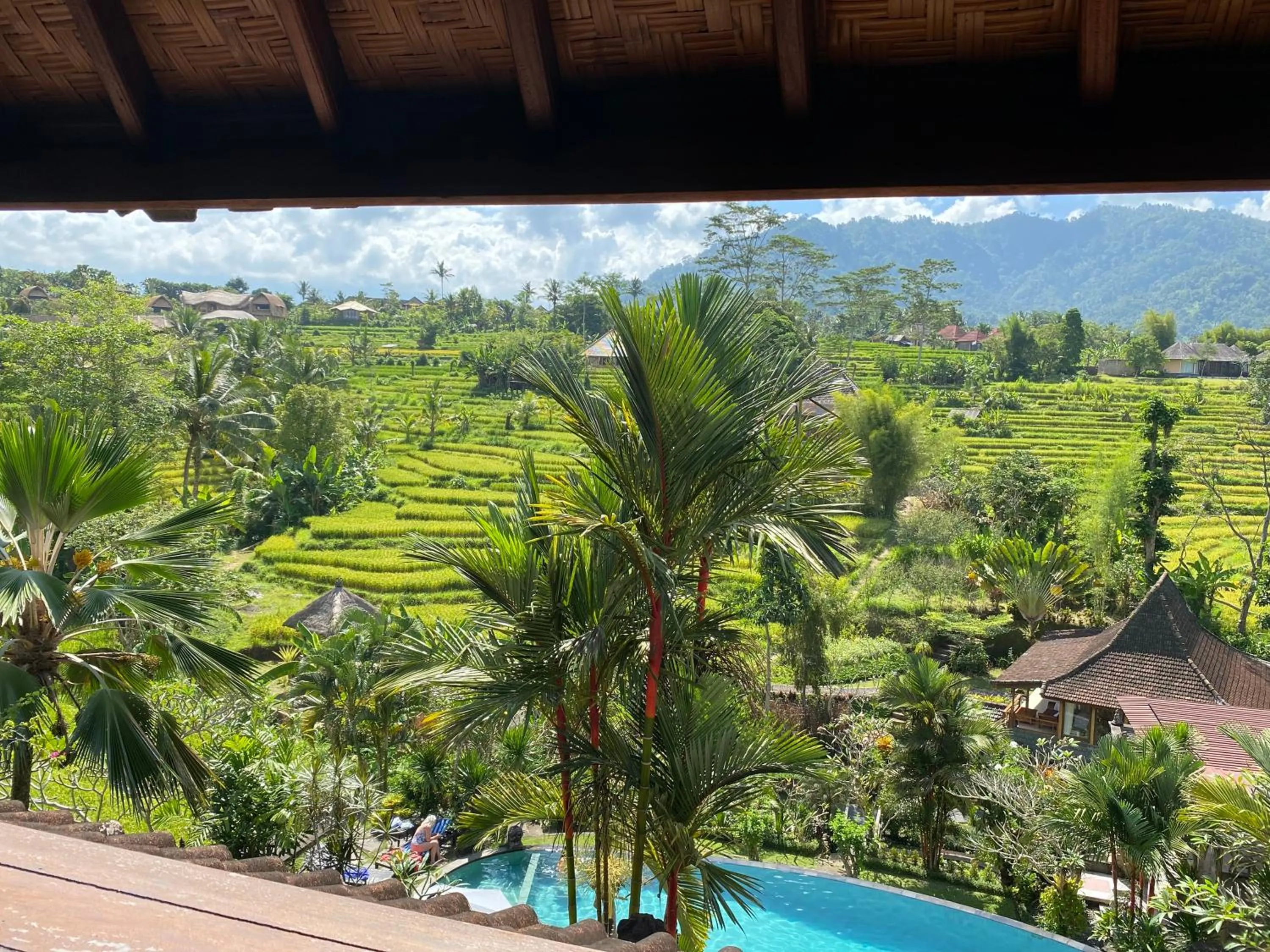 Natural landscape in Abian Ayu Villa