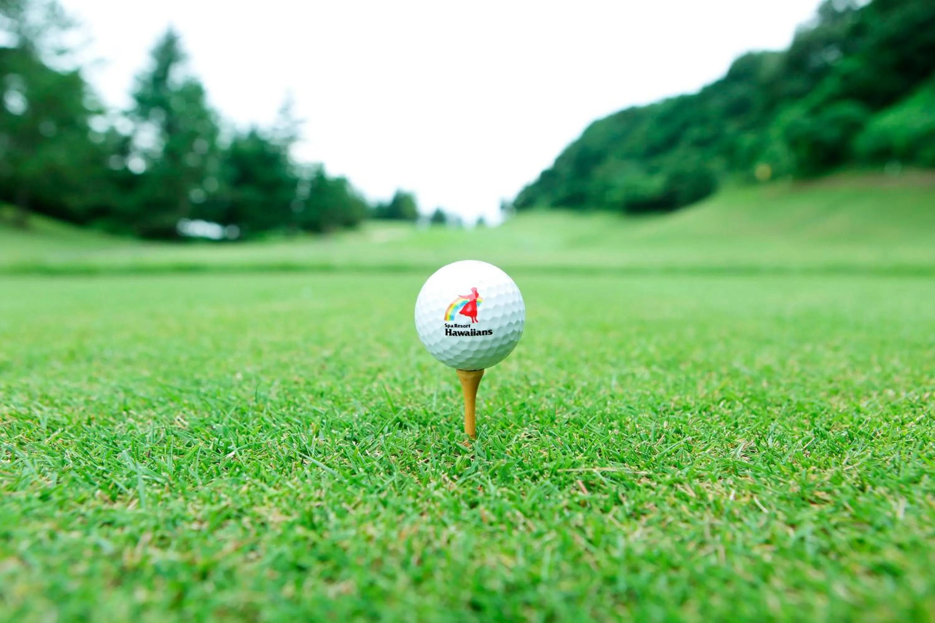 Golfcourse in Spa Resort Hawaiians Hotel Hawaiians