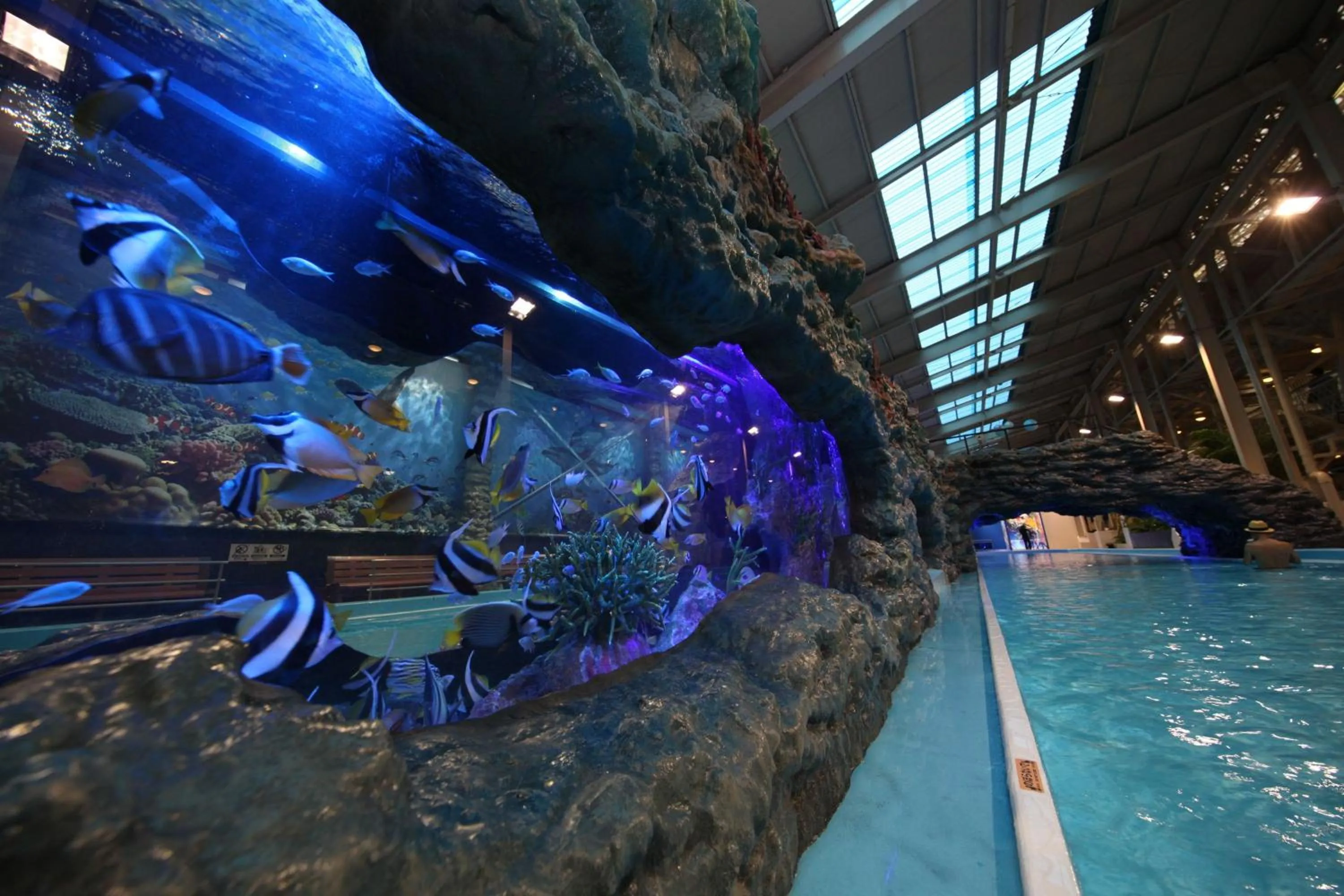 Aqua park in Spa Resort Hawaiians Hotel Hawaiians