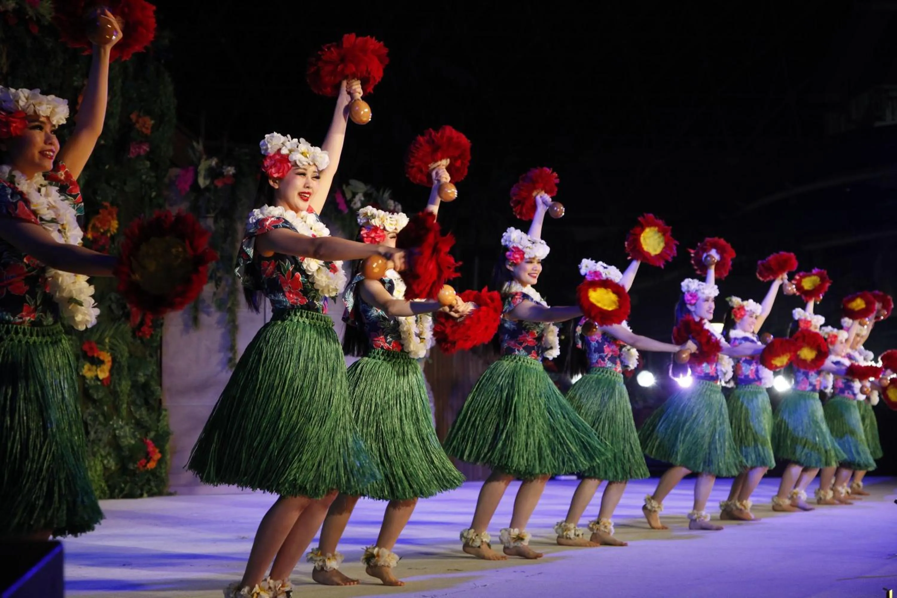 Area and facilities in Spa Resort Hawaiians Hotel Hawaiians