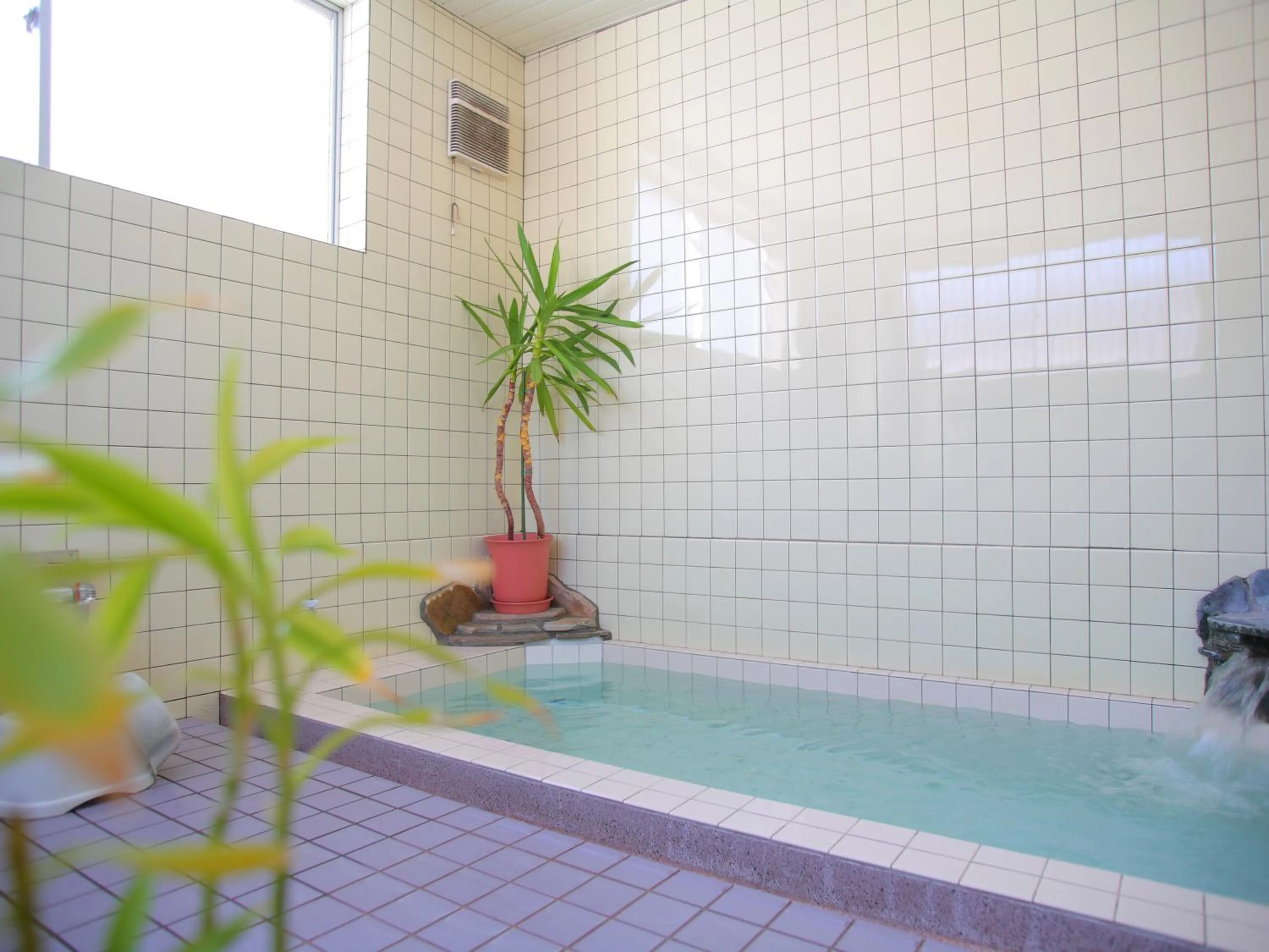 Public Bath in Hotel Moc