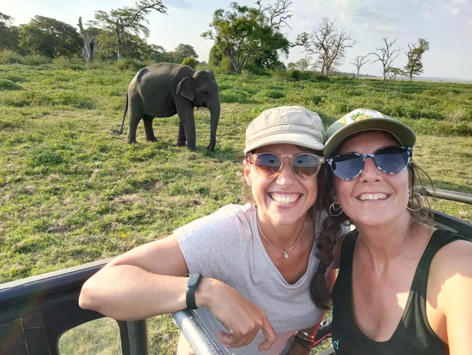 Animals in Divine Villa