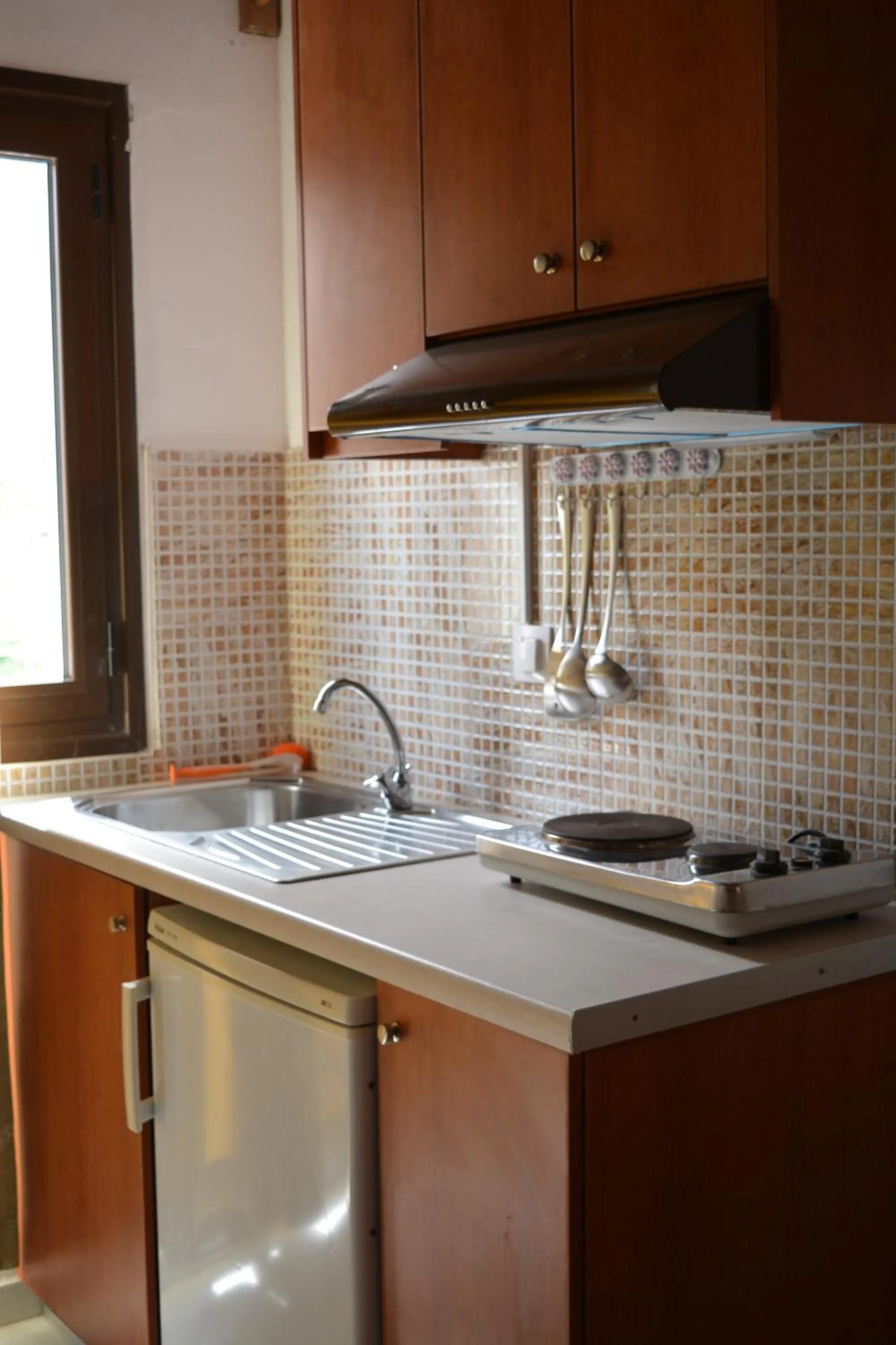 Kitchen or kitchenette in Villa Giorgos