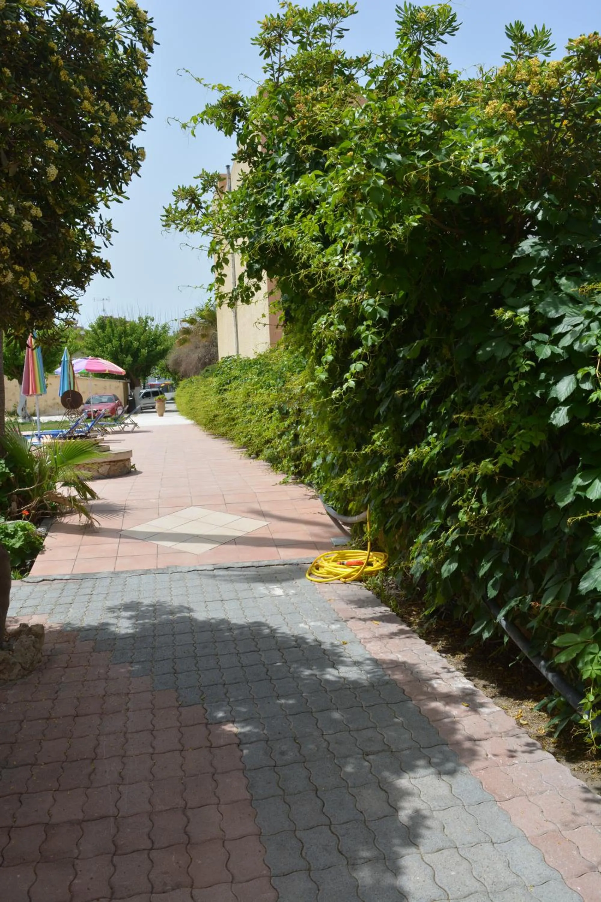 Facade/entrance in Villa Giorgos