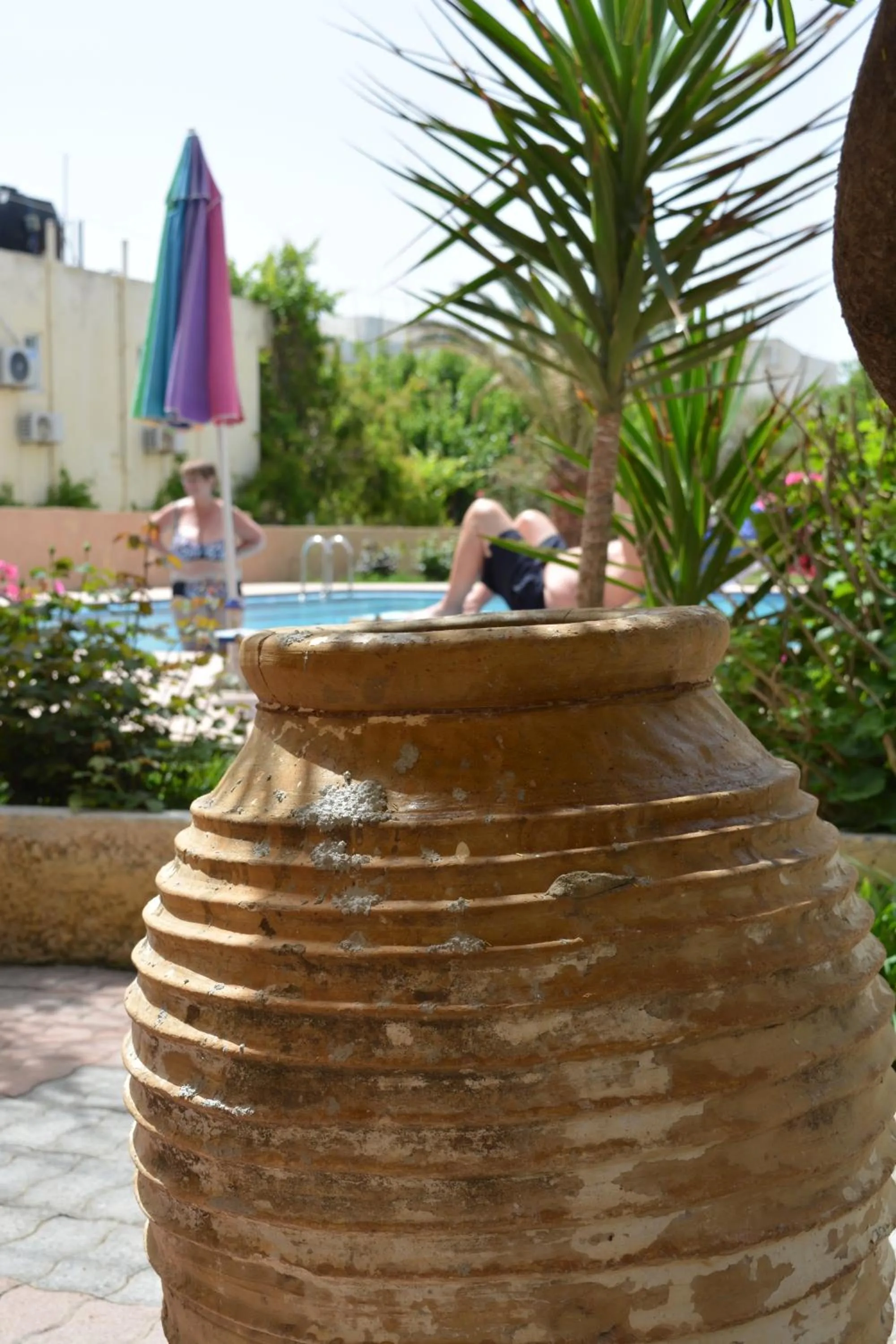 Swimming pool in Villa Giorgos