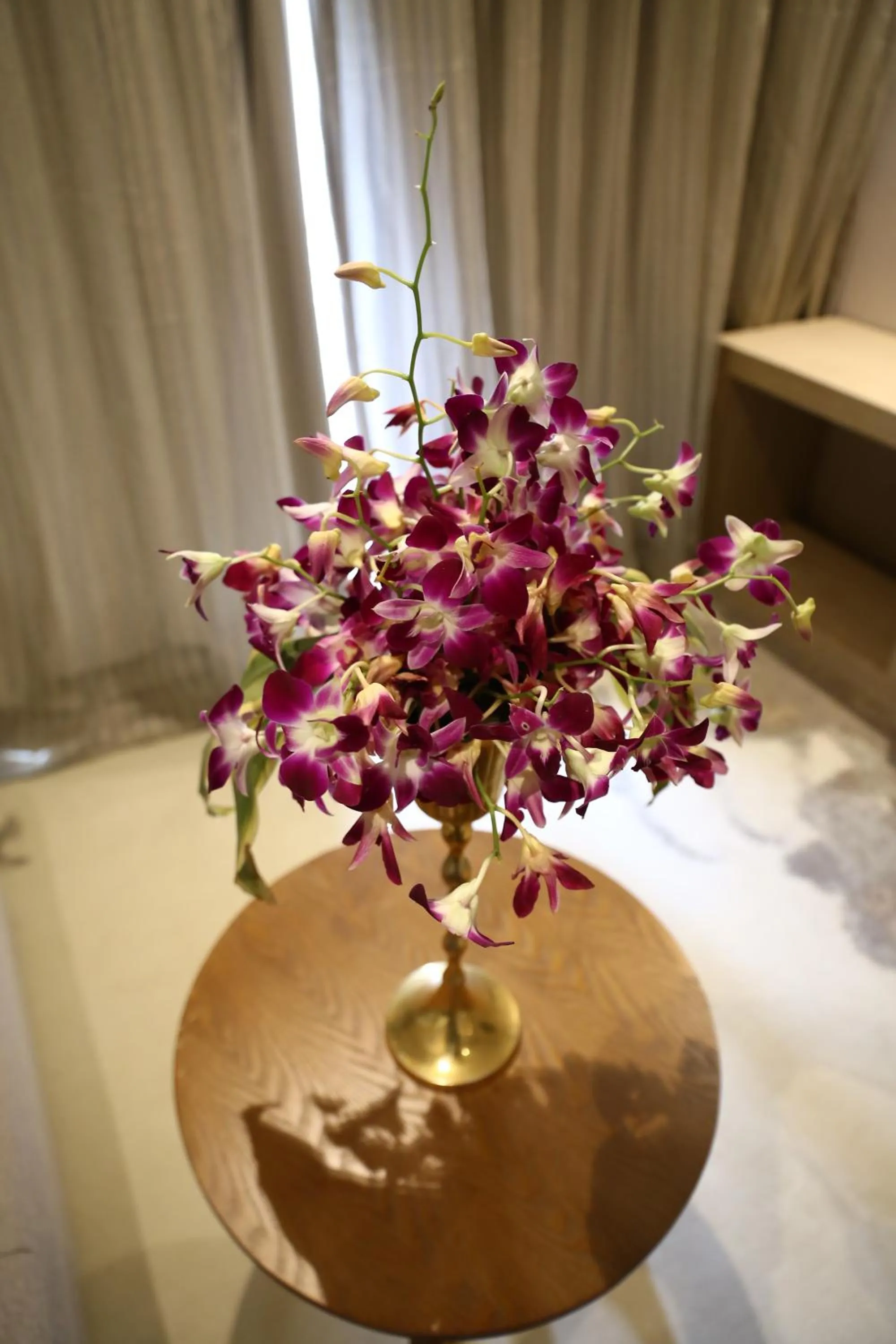 Clarks Inn Suites Raipur