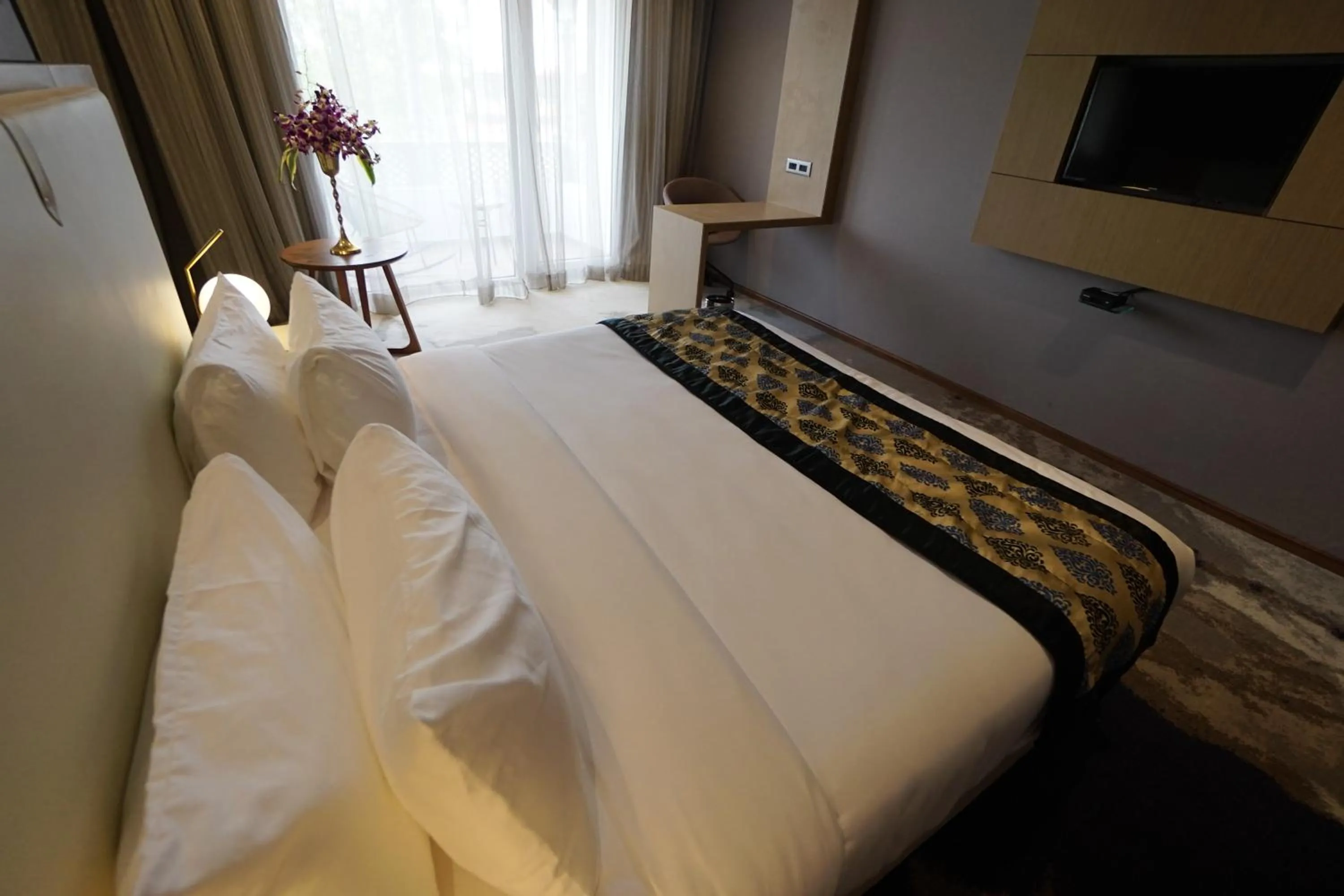 Clarks Inn Suites Raipur