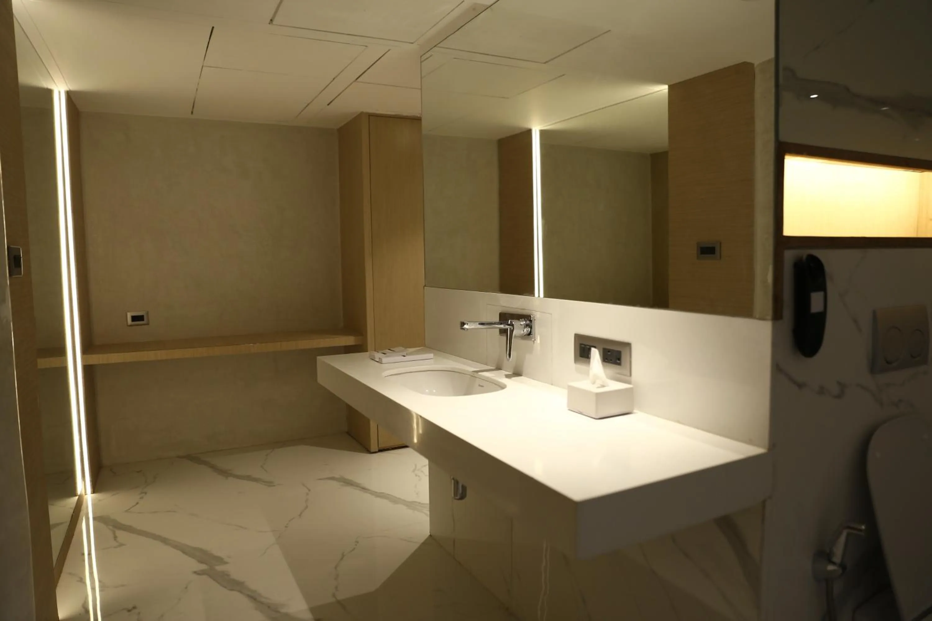 Clarks Inn Suites Raipur