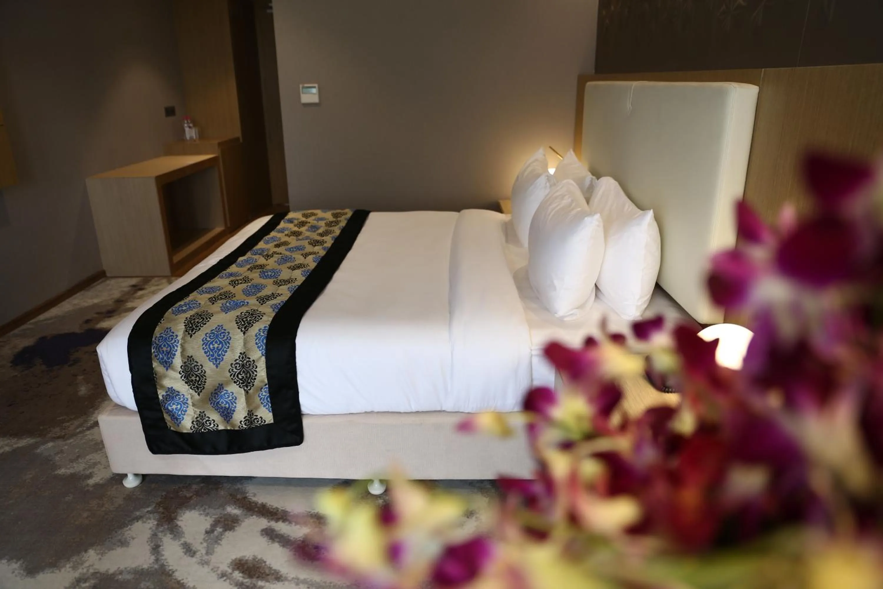 Clarks Inn Suites Raipur