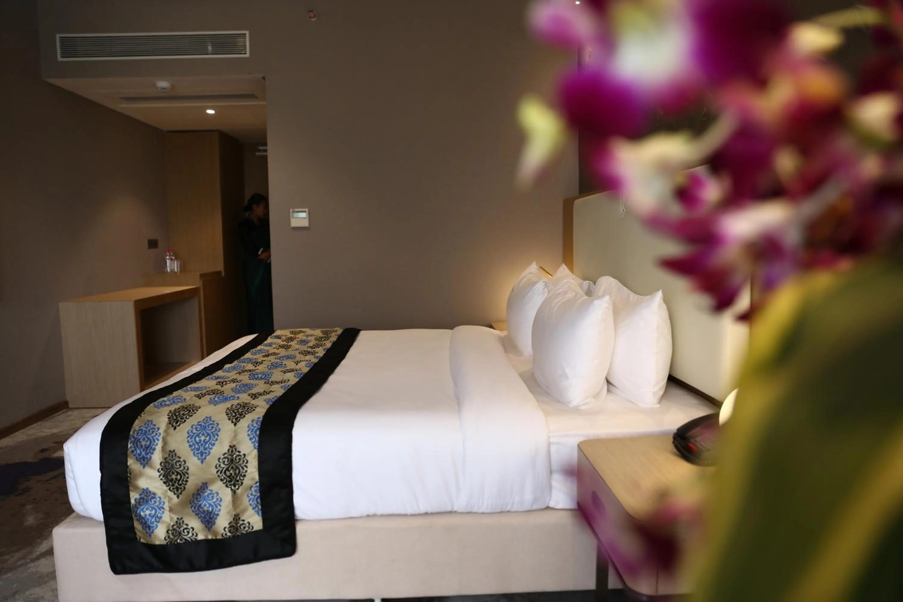 Clarks Inn Suites Raipur