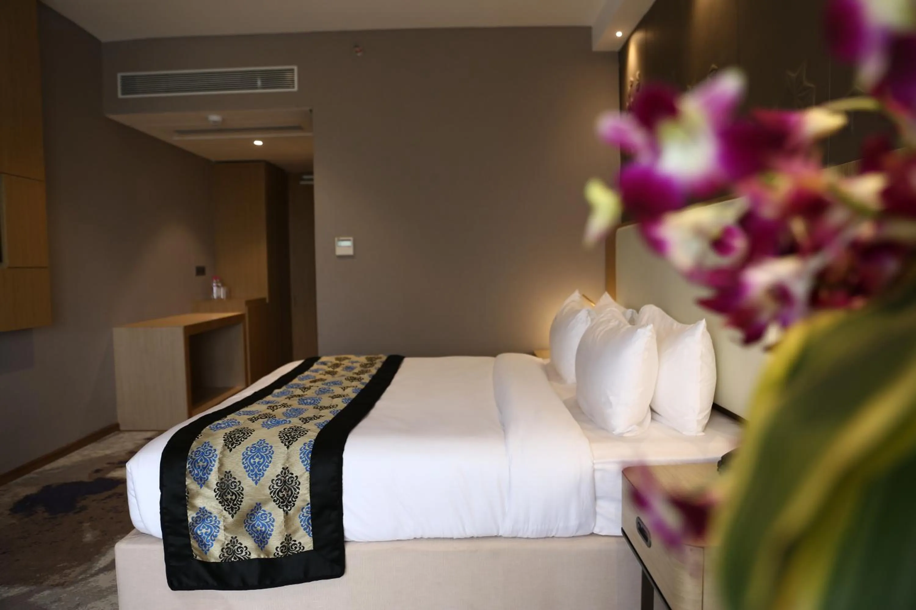 Clarks Inn Suites Raipur