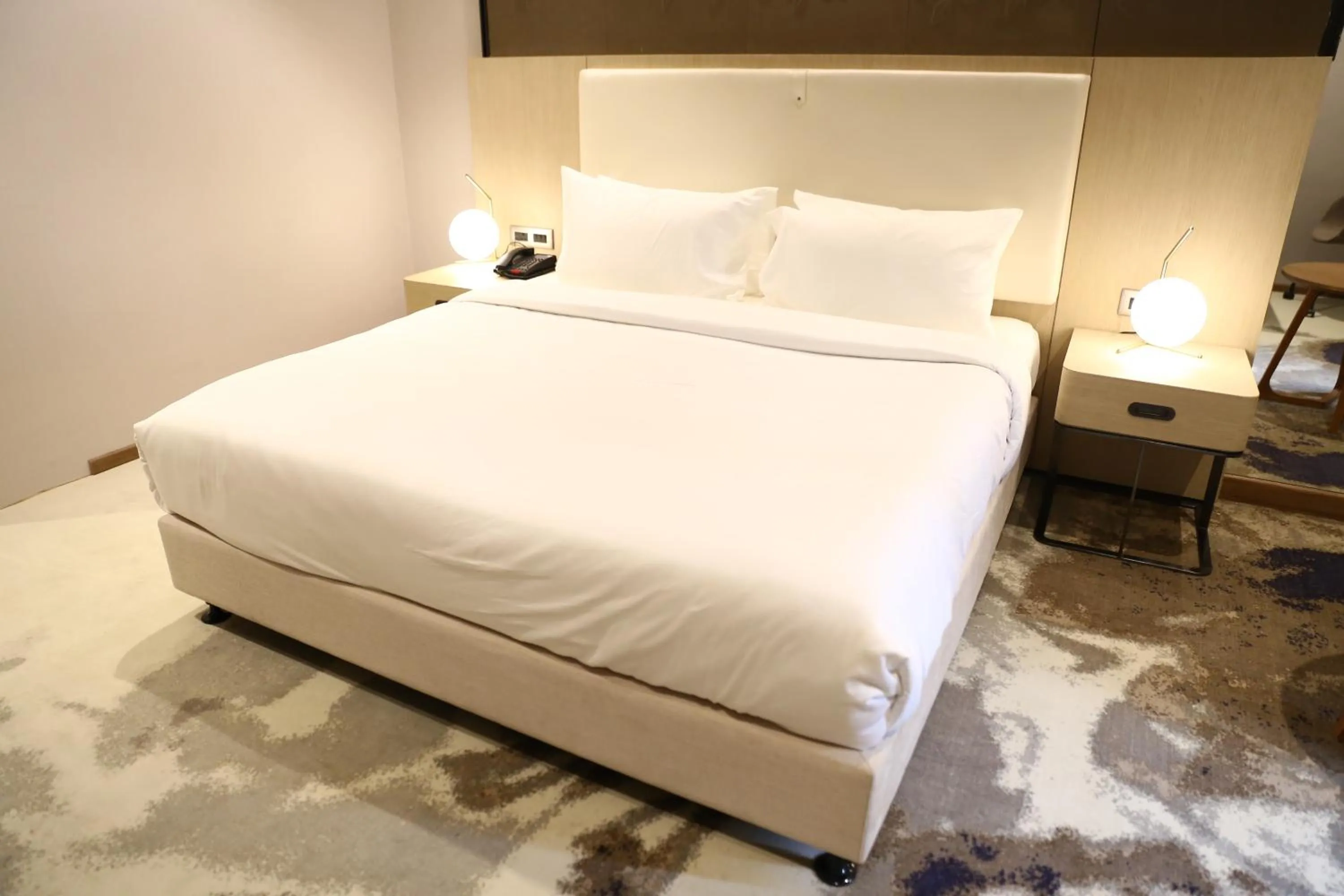 Clarks Inn Suites Raipur