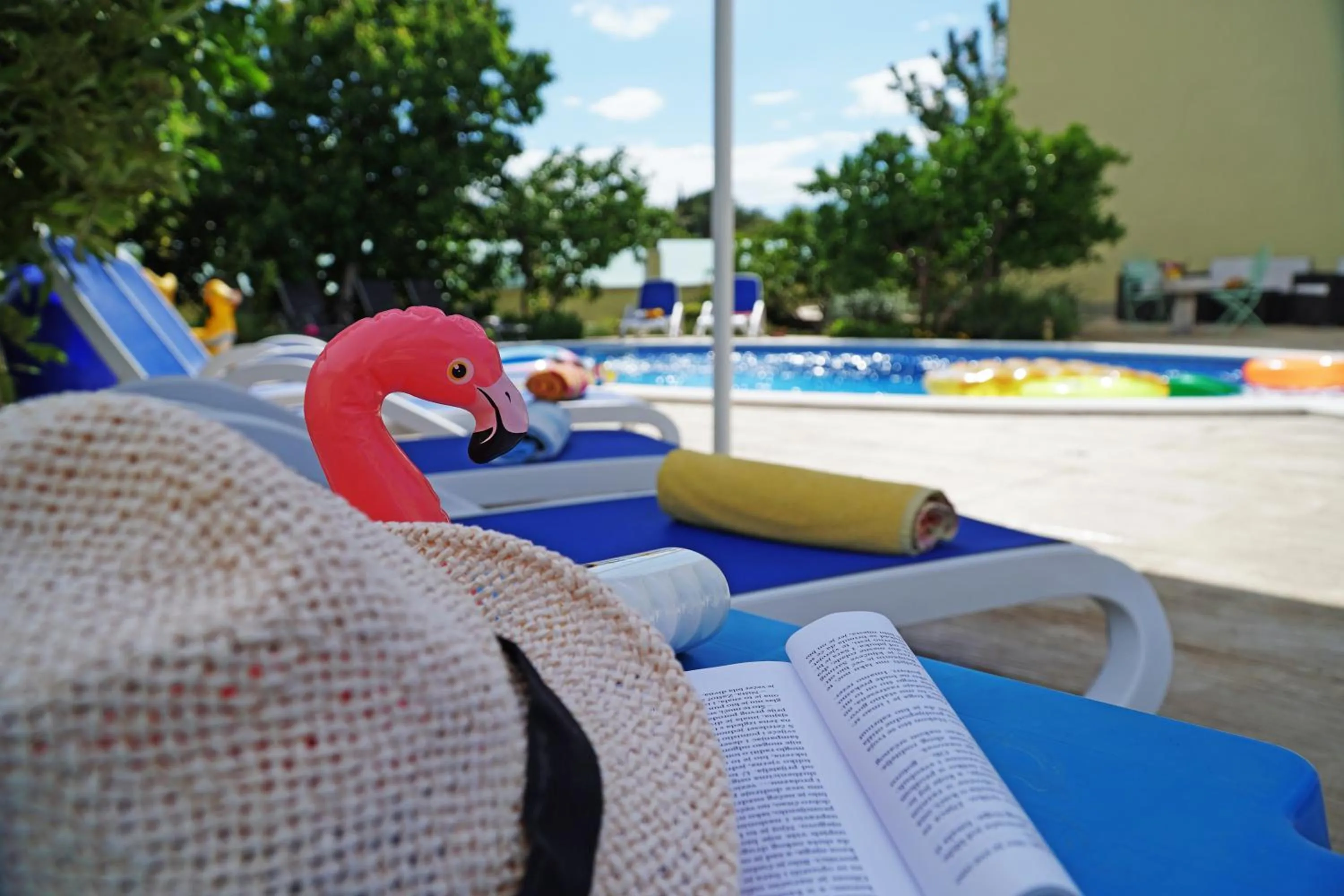 Swimming pool in Apartments Petra
