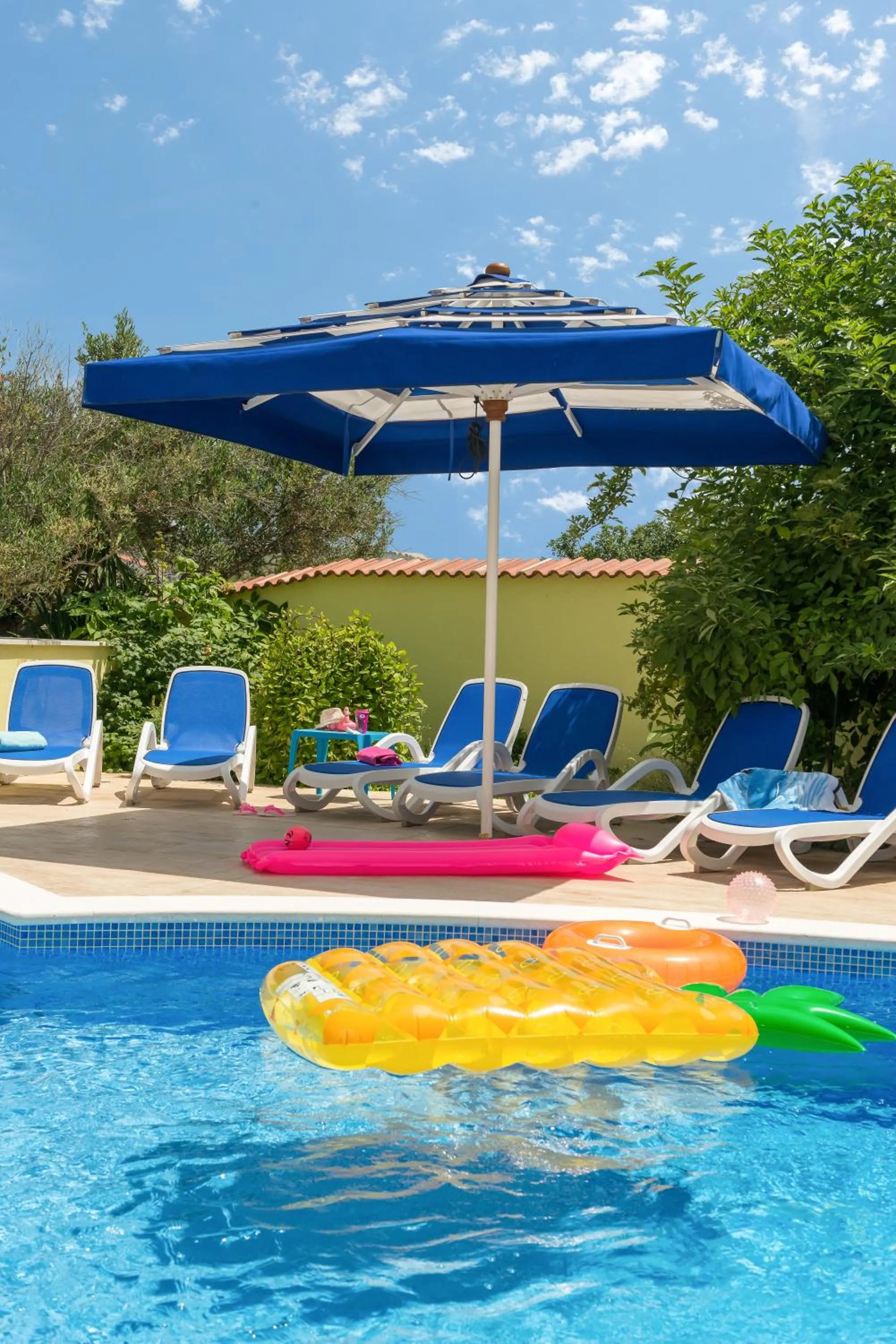 Swimming pool in Apartments Petra