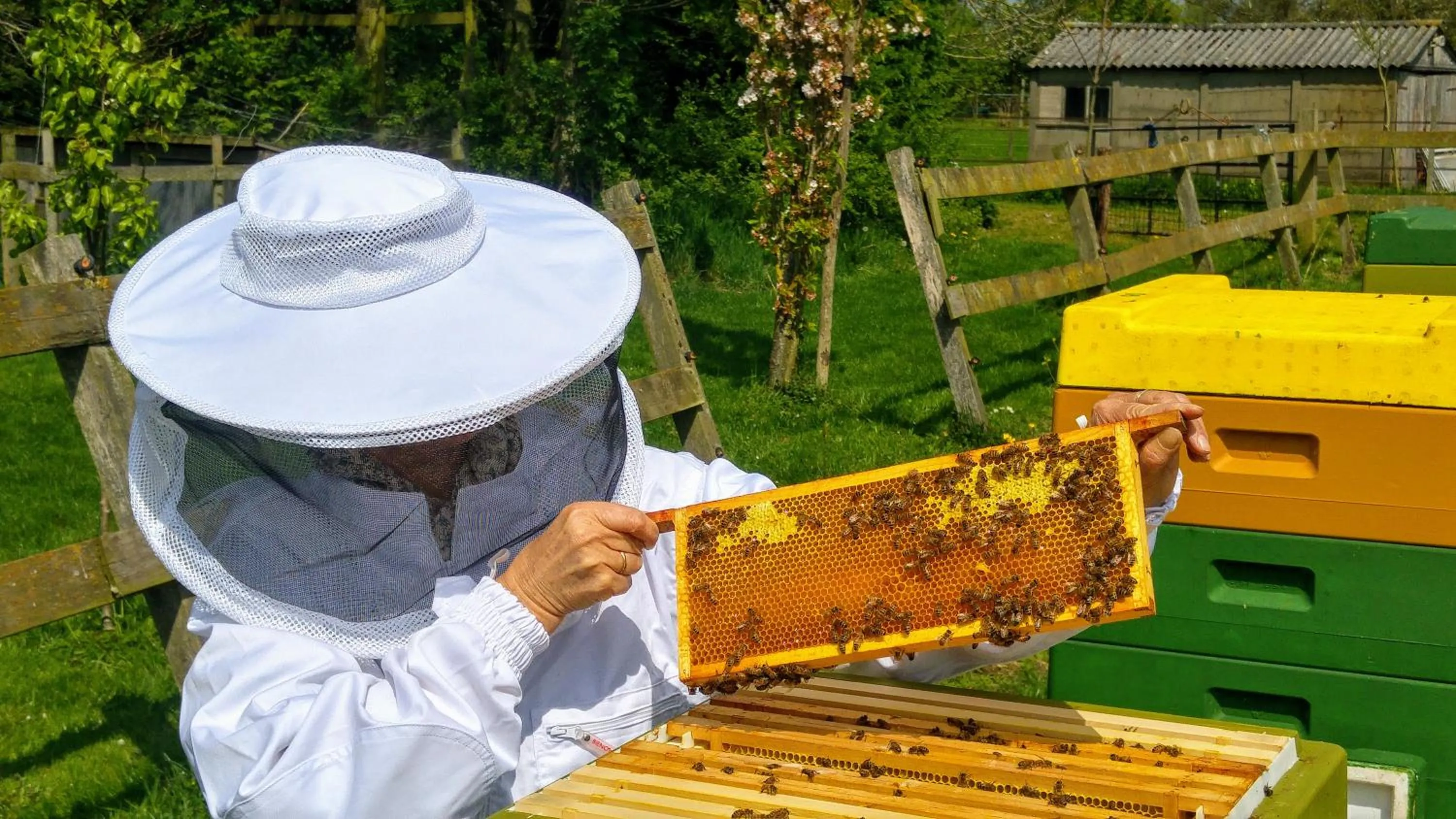 Activities in Bed & Breakfast De Heughte