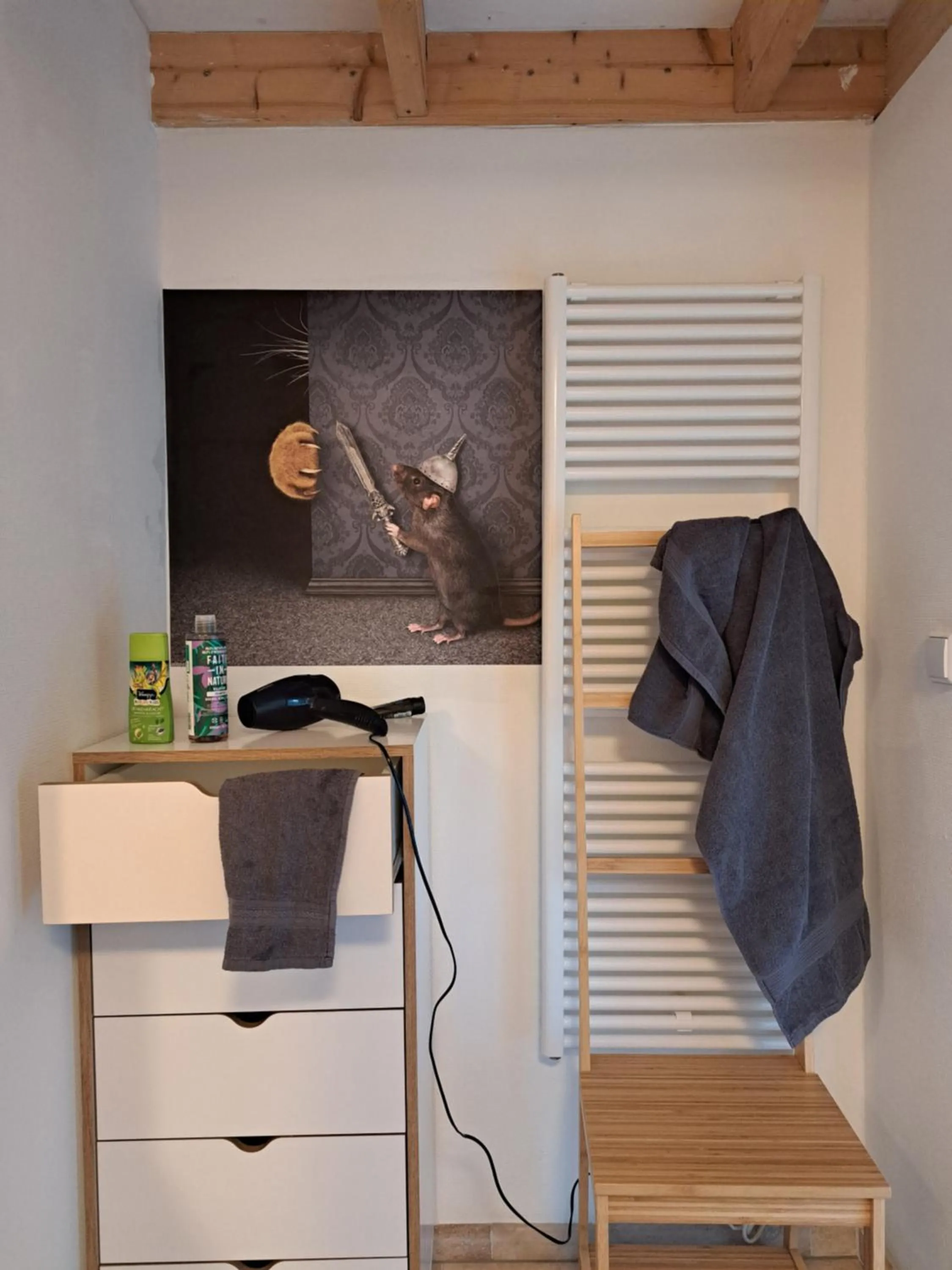 Bathroom in Hofstede 's Gravenhoek
