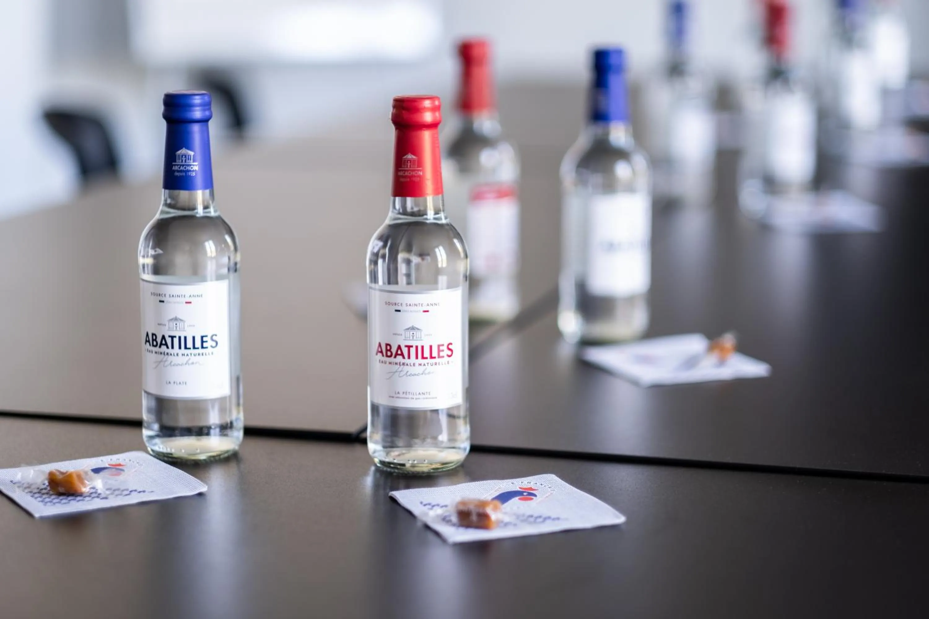 Business facilities in Hôtel Le Français