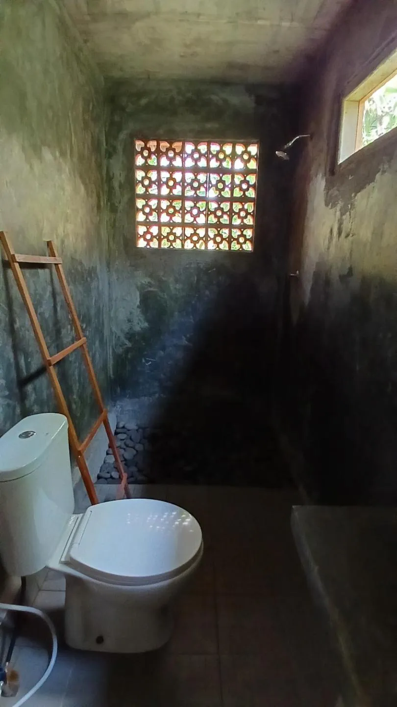 Jungle House - surf & stay