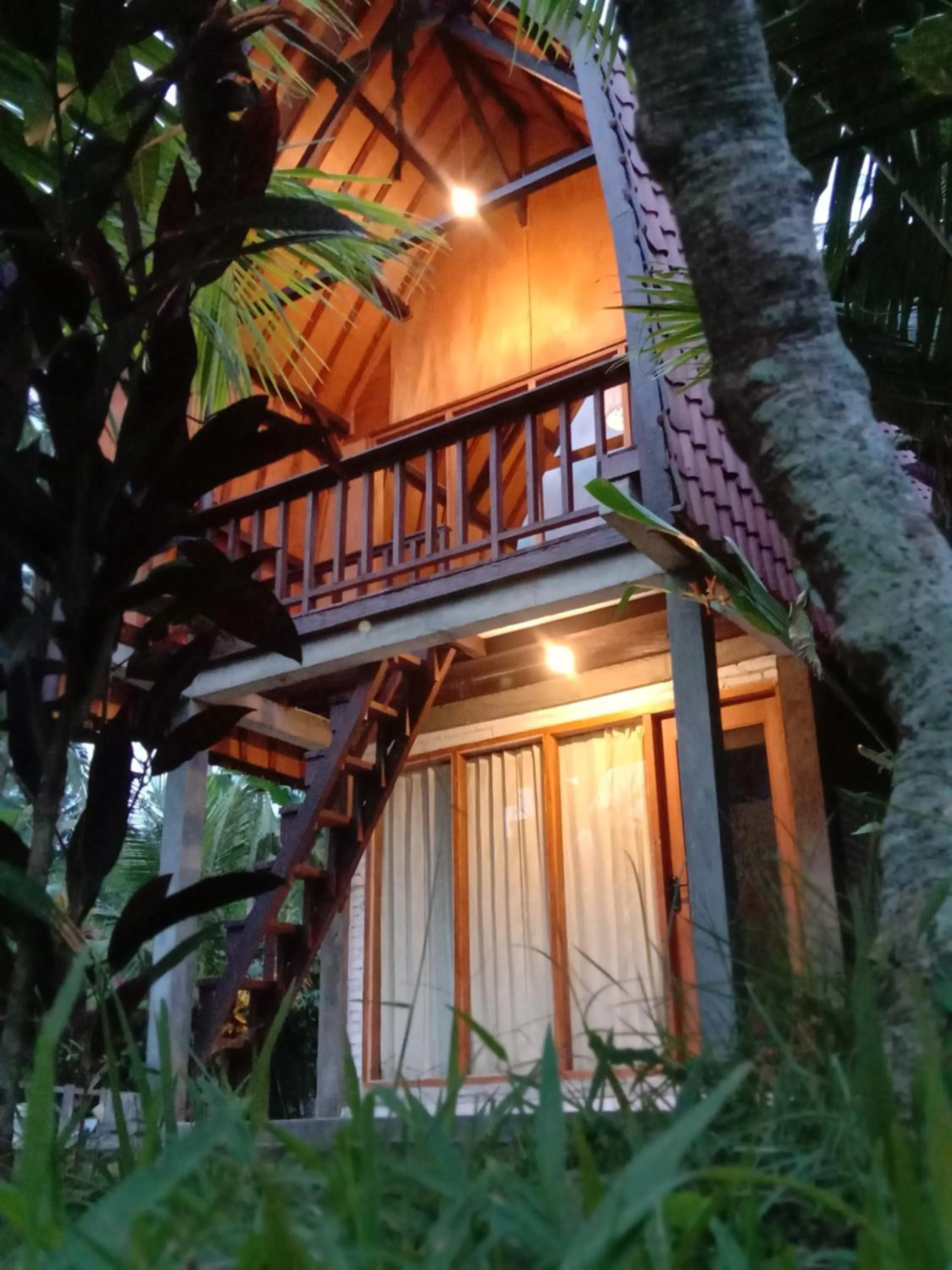 Property building in Jungle House - surf & stay