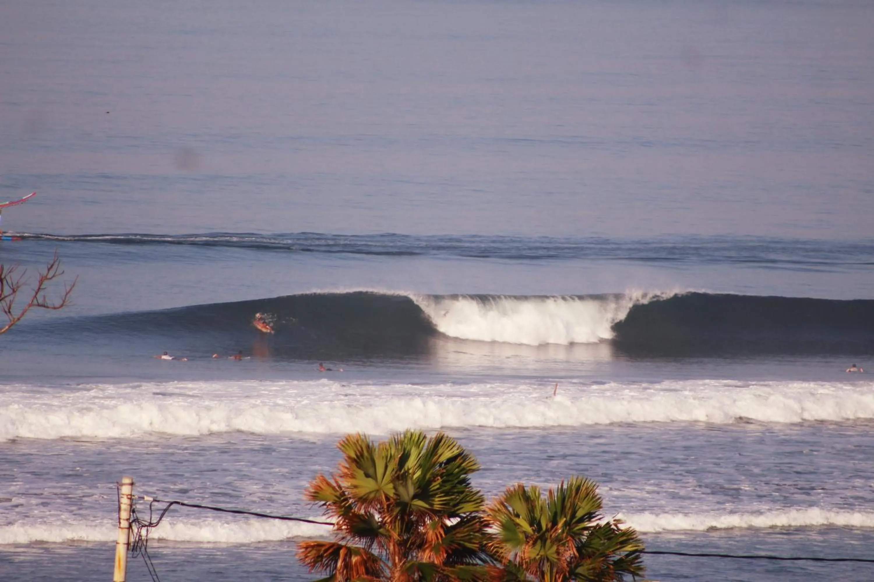 Jungle House - surf & stay