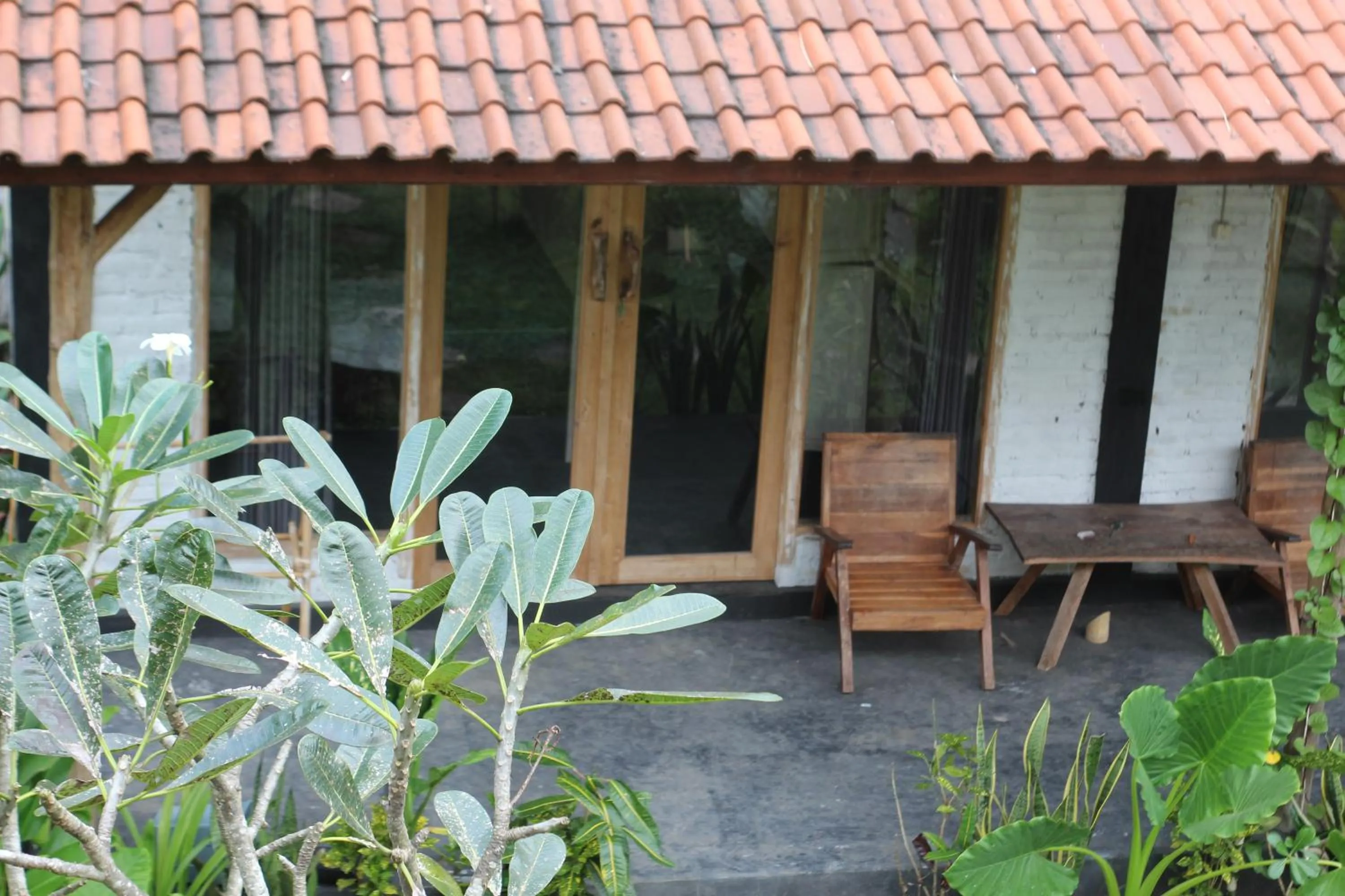 Jungle House - surf & stay