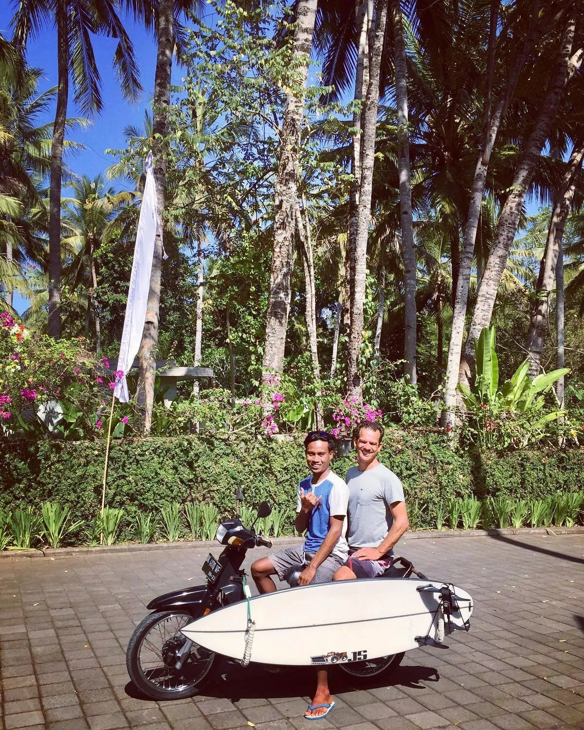 Jungle House - surf & stay