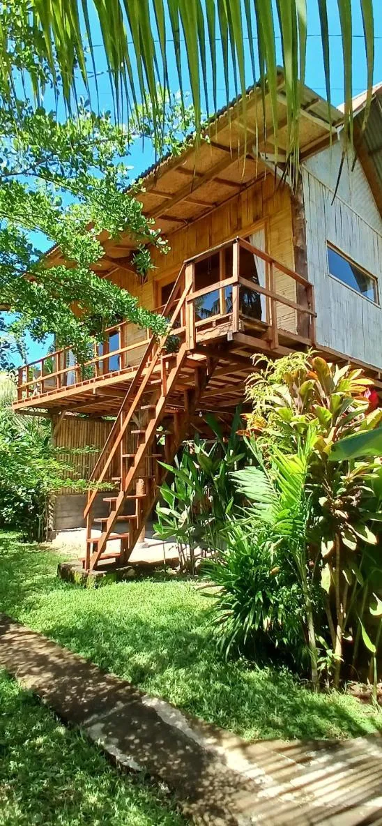 Jungle House - surf & stay