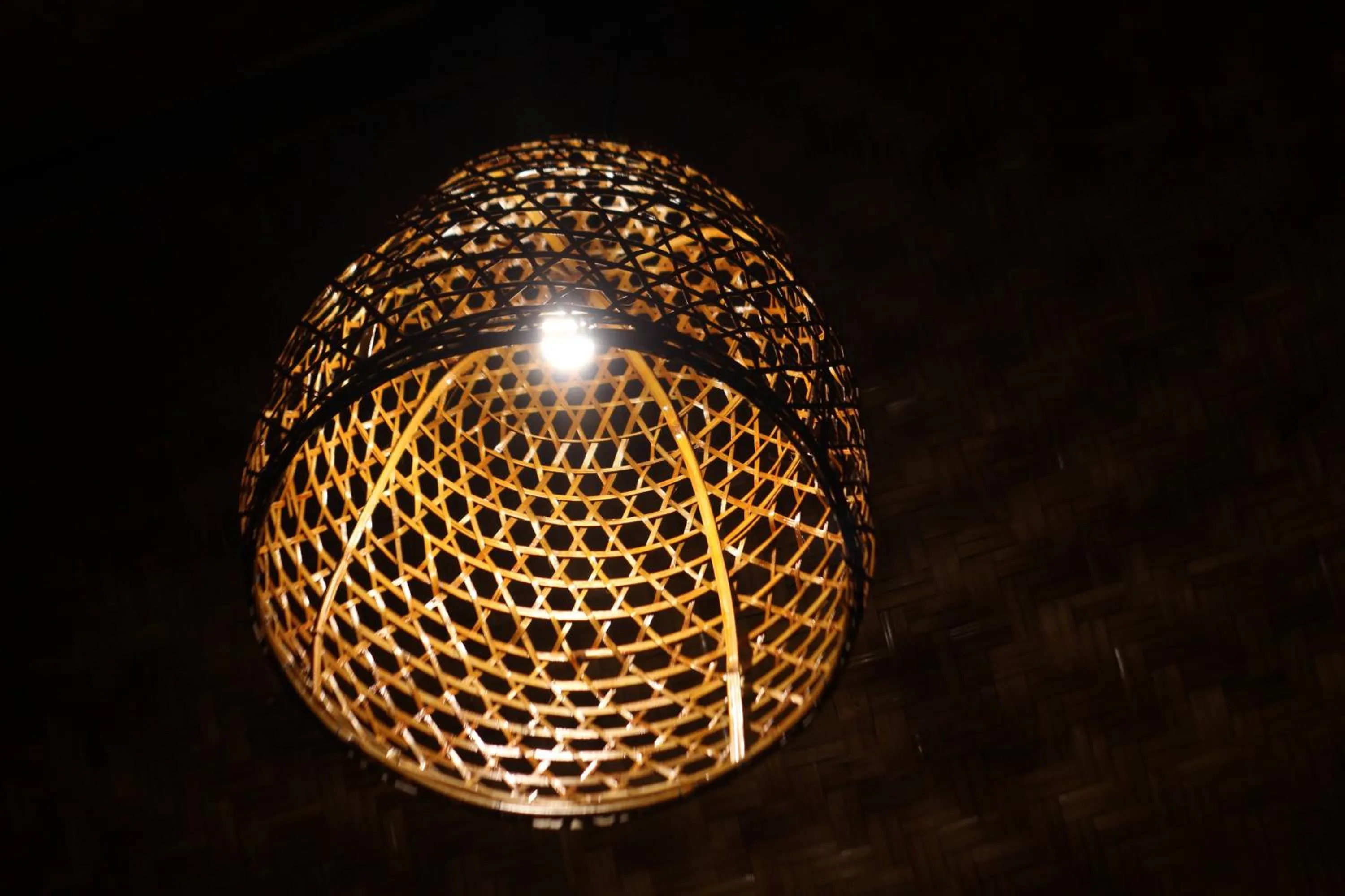 Jungle House - surf & stay