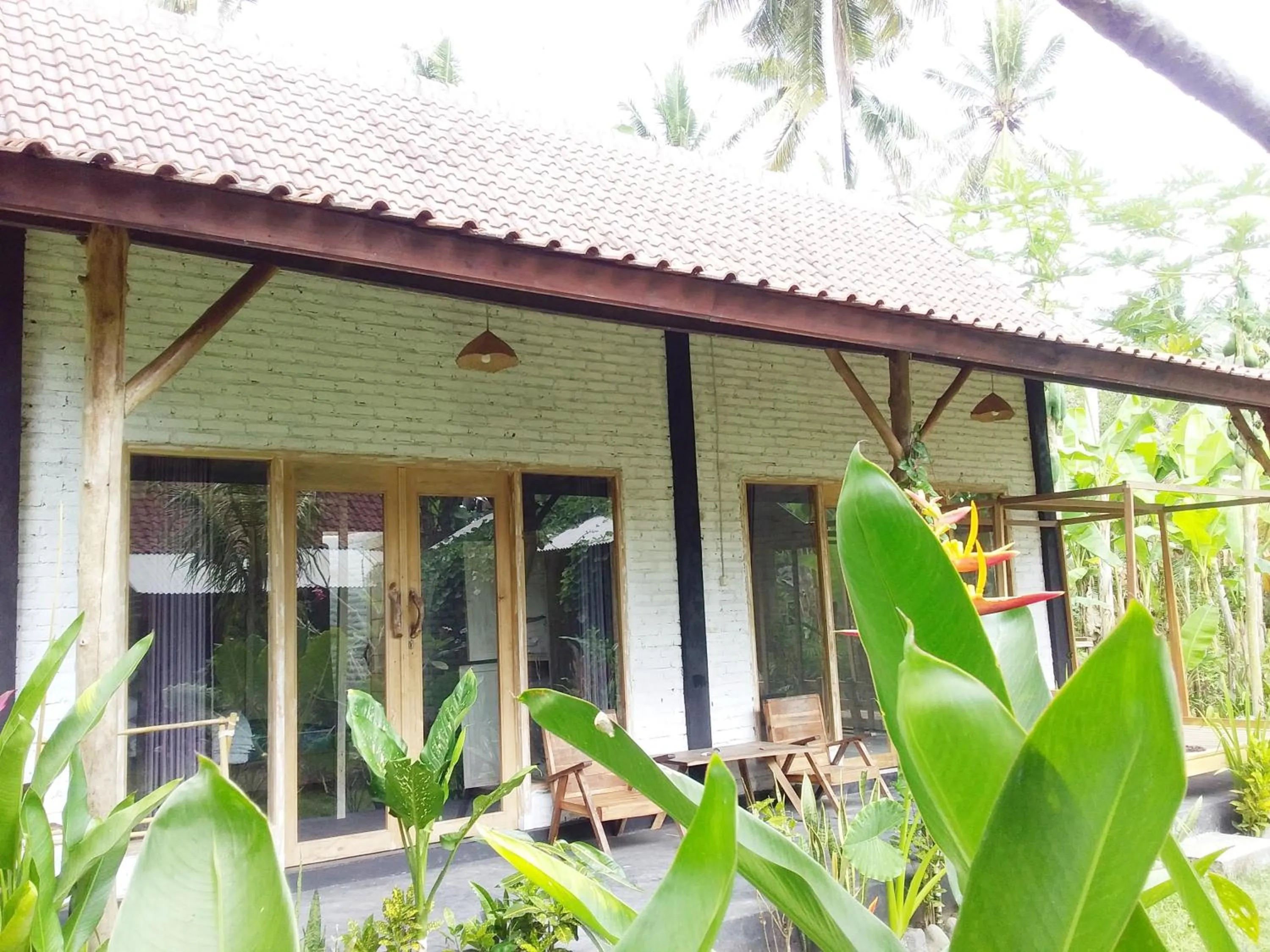 Jungle House - surf & stay