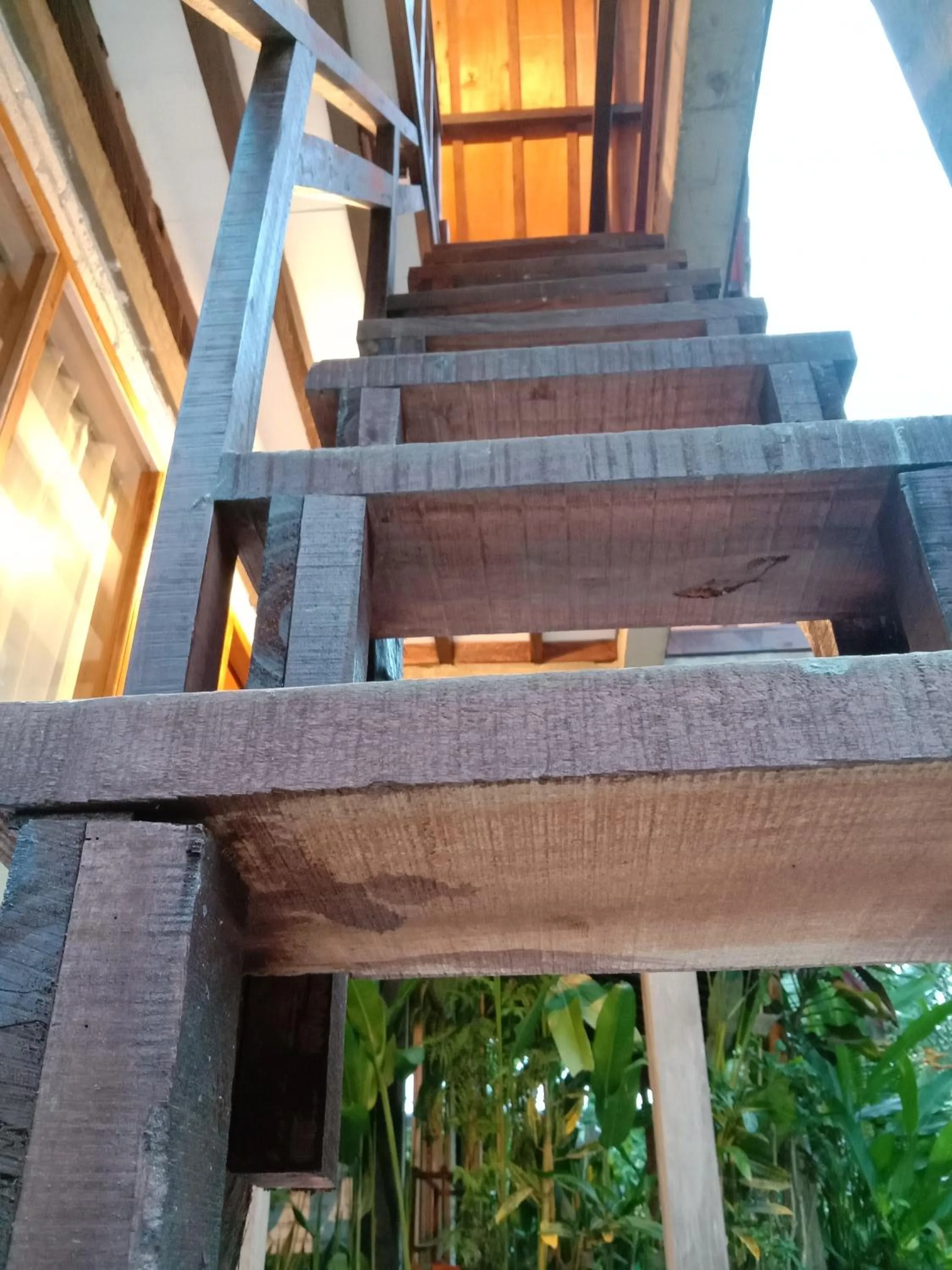 Jungle House - surf & stay