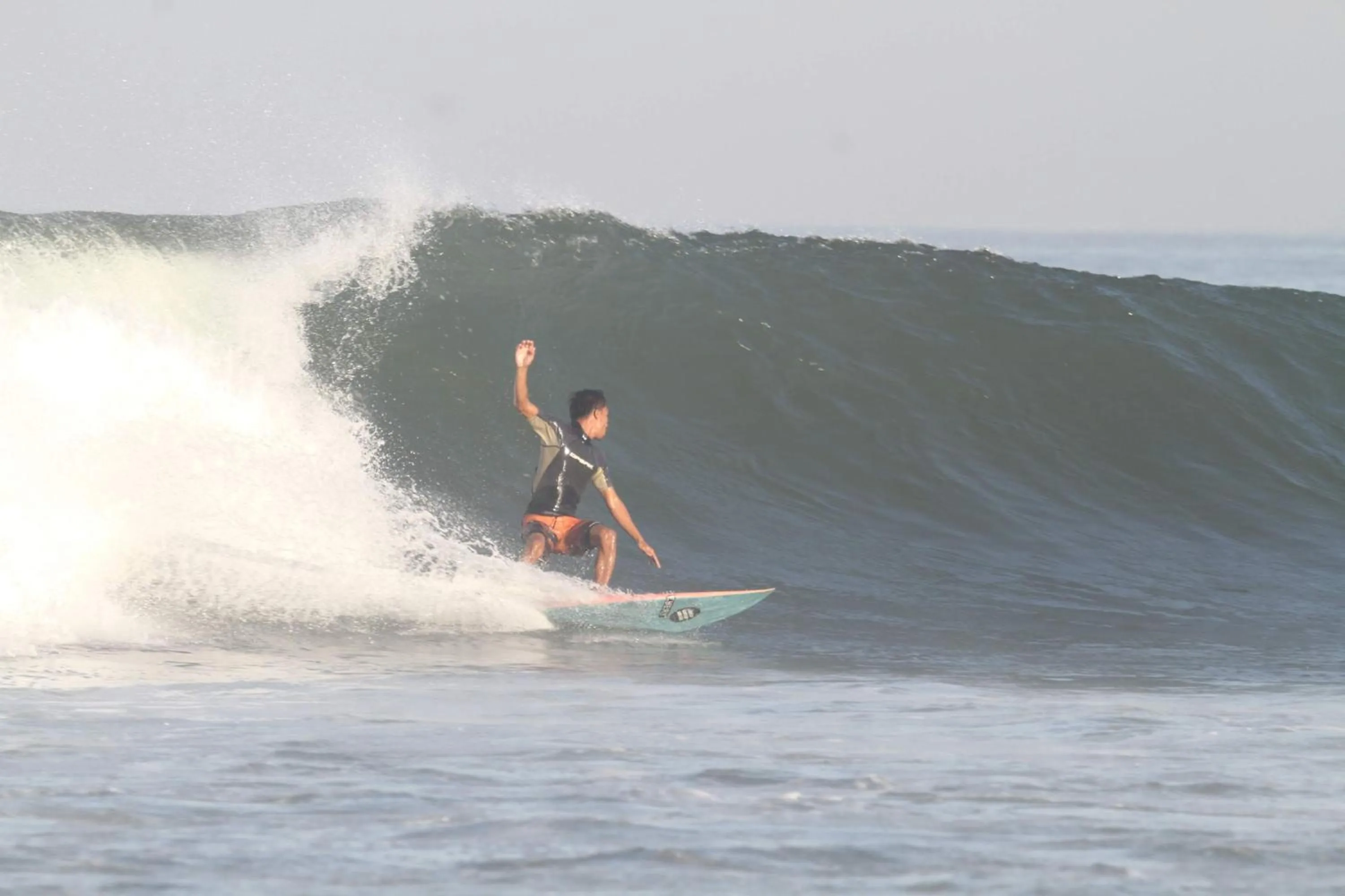 Jungle House - surf & stay