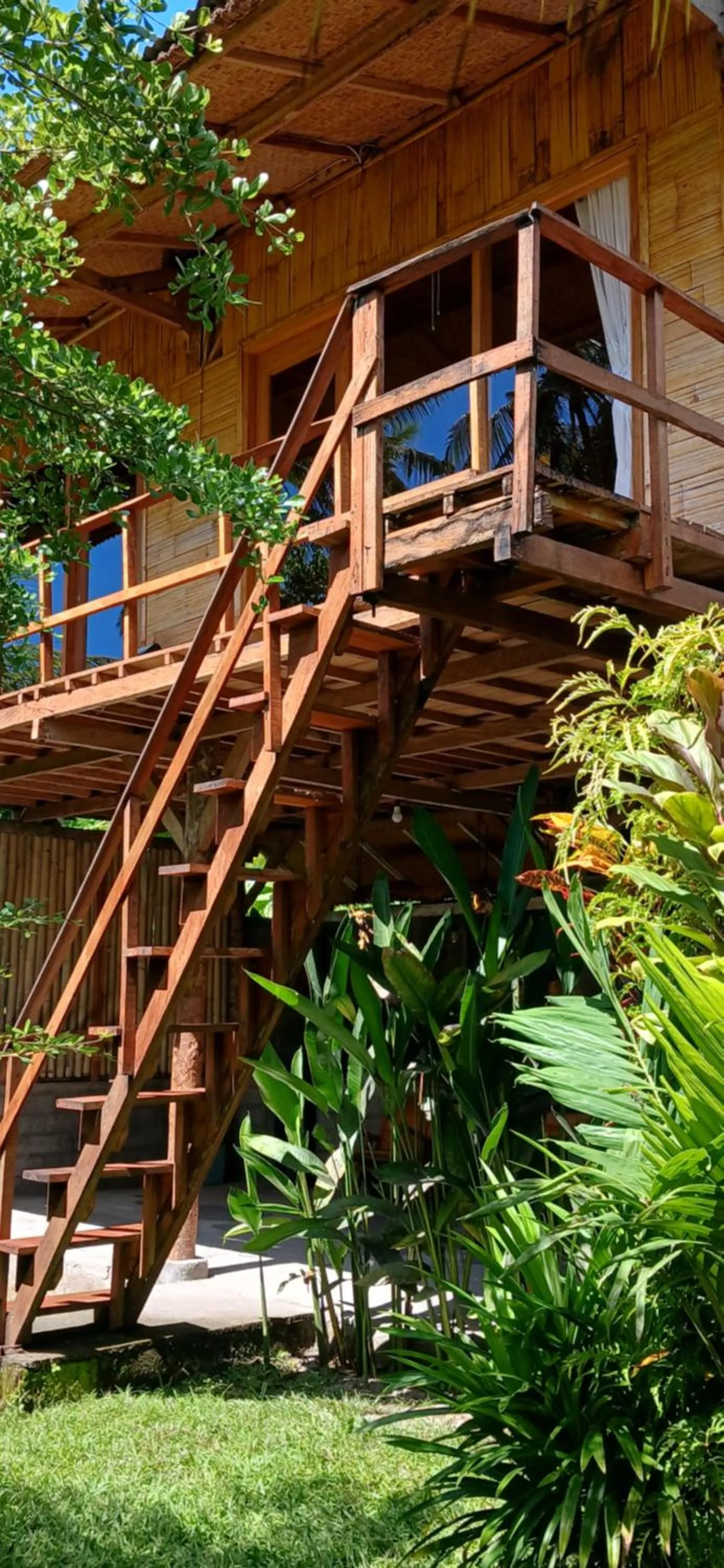 Jungle House - surf & stay