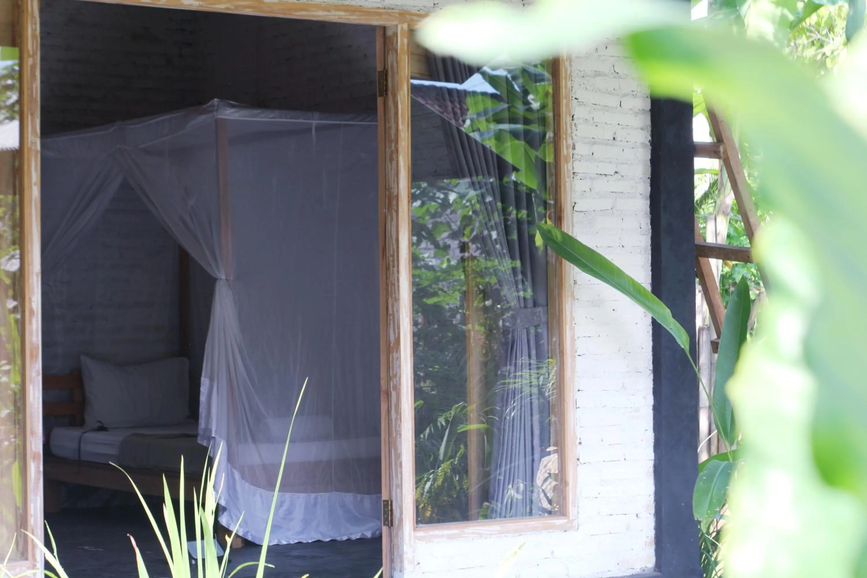 Jungle House - surf & stay