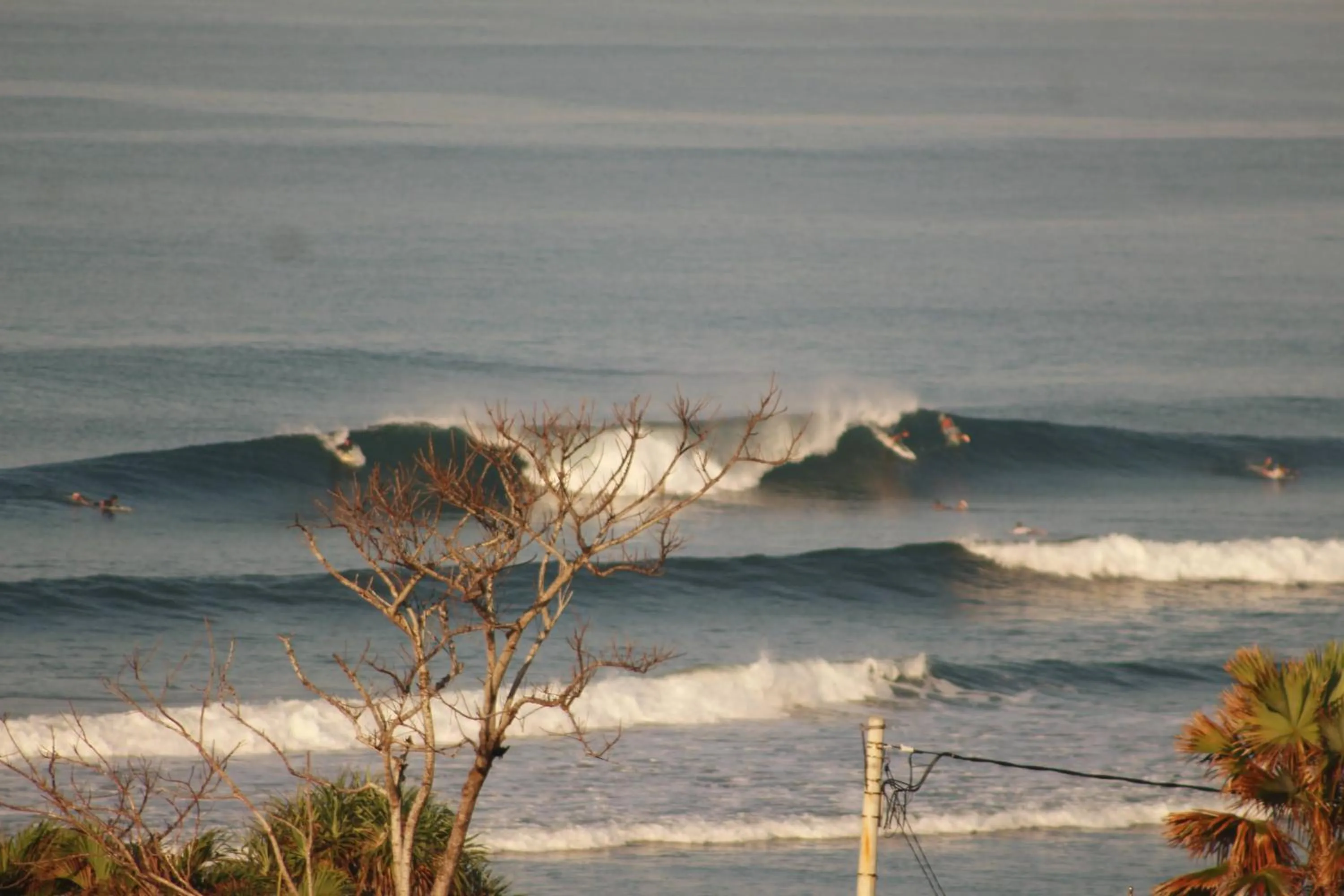 Jungle House - surf & stay