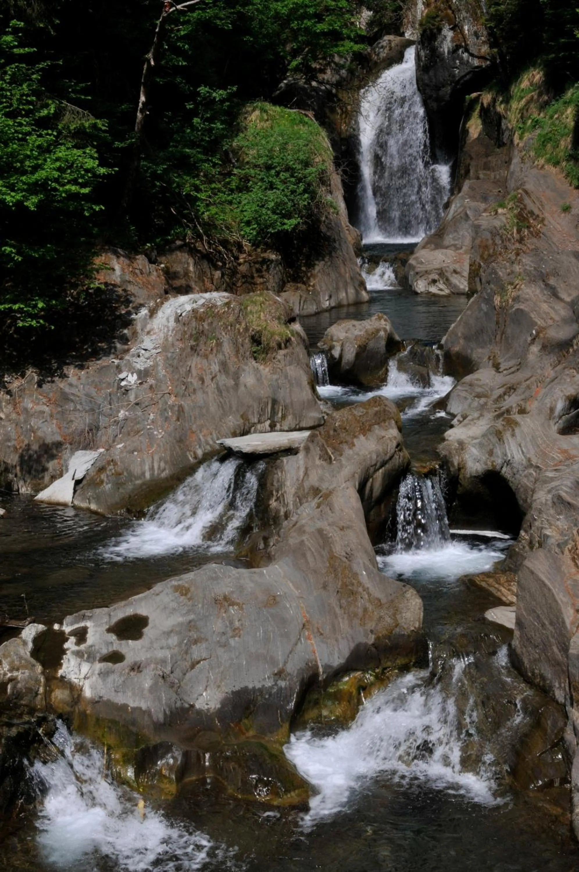 Area and facilities in Landhotel Pacher