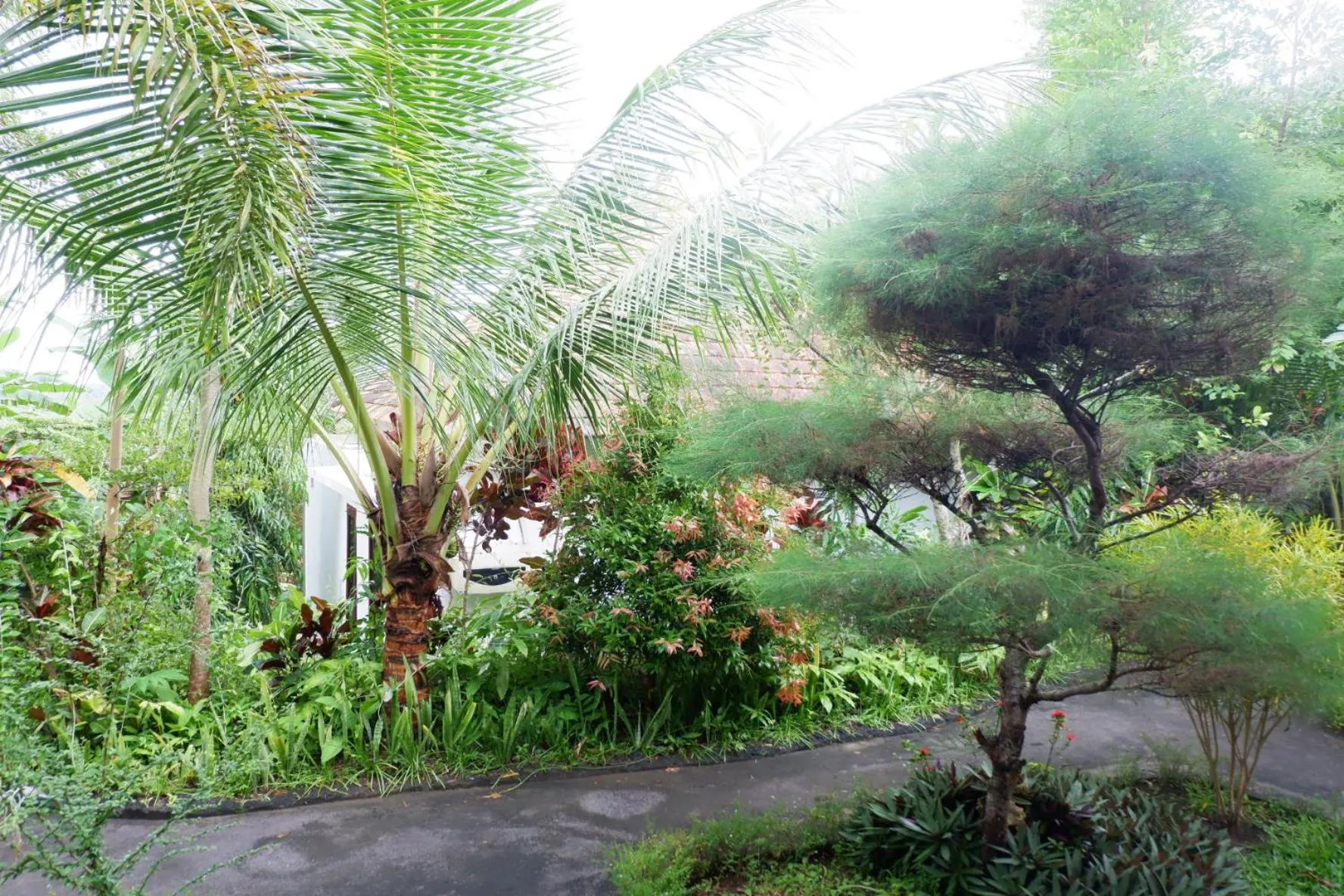 Garden view in Arya Resort Nusa Penida