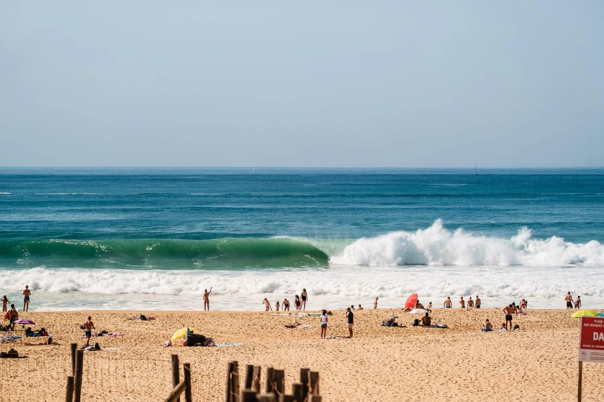 Natural landscape in Villa Sayulita Surfhouse
