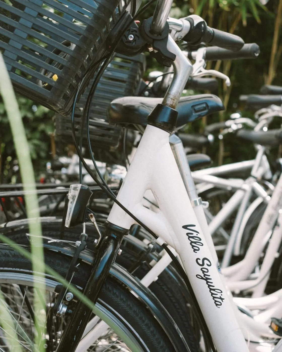 Villa Sayulita Surfhouse