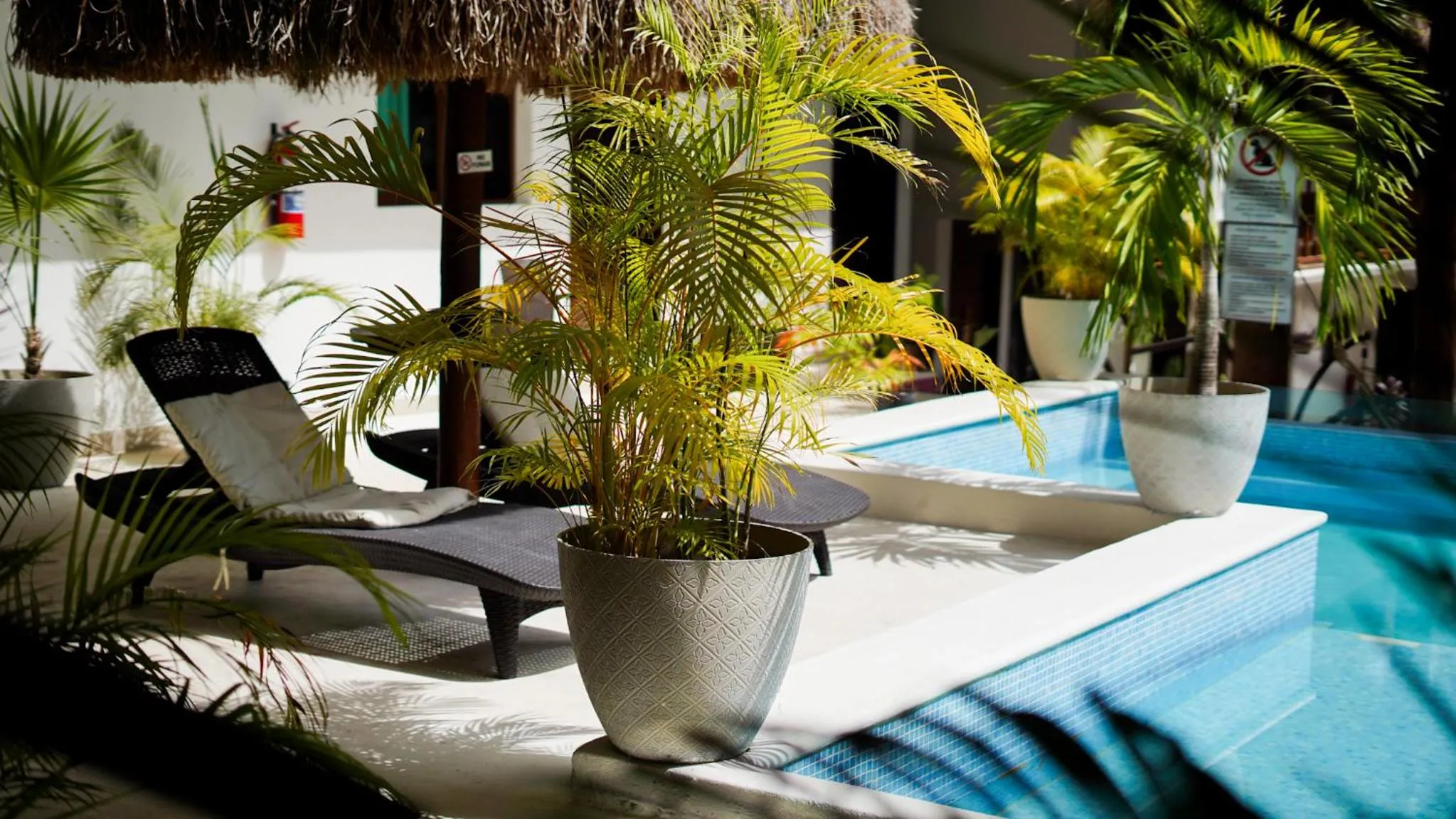 Hotel Diosa del Agua Bacalar