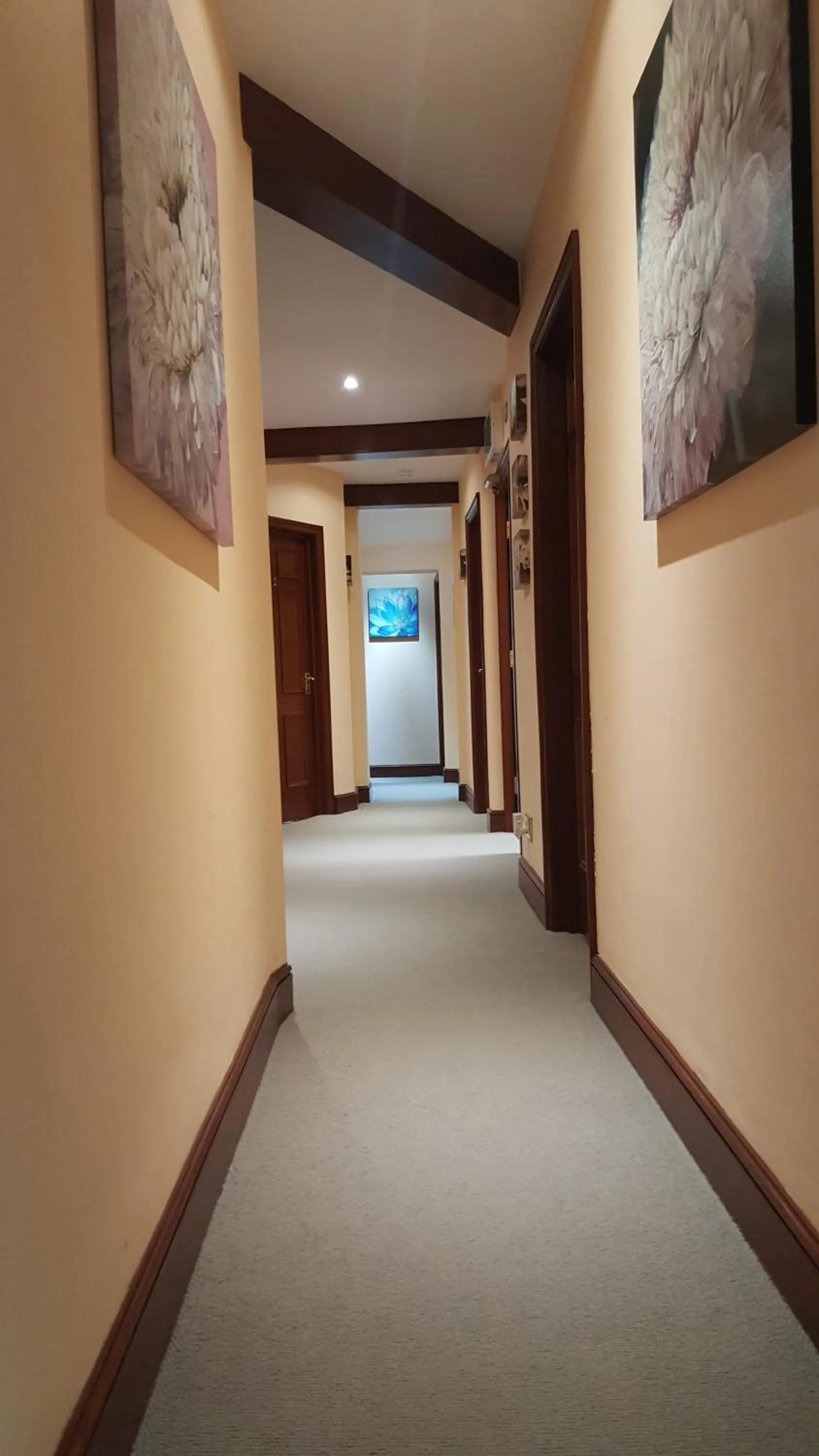 Other in Balkan Lodge Oxford