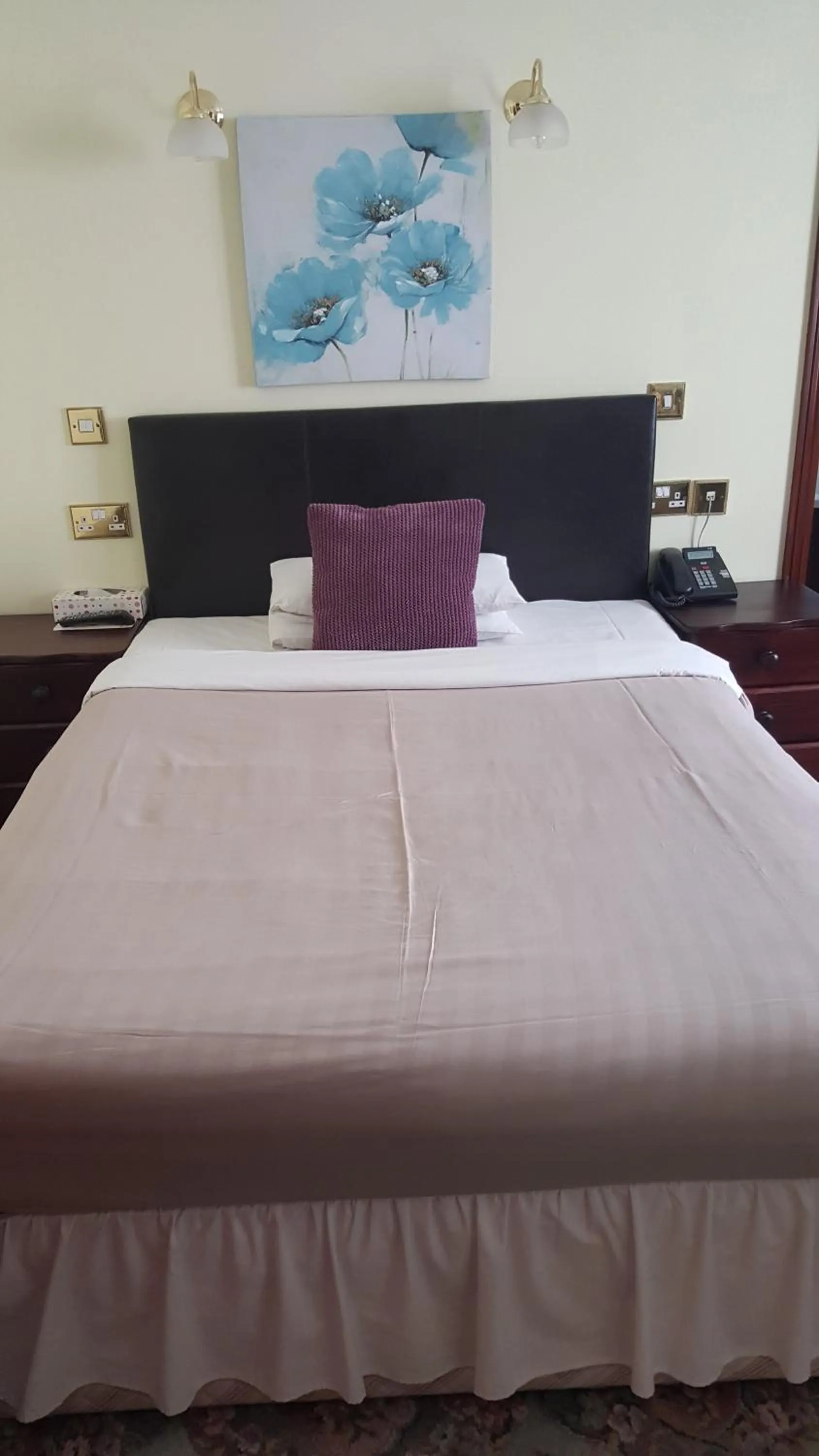 Bed in Balkan Lodge Oxford