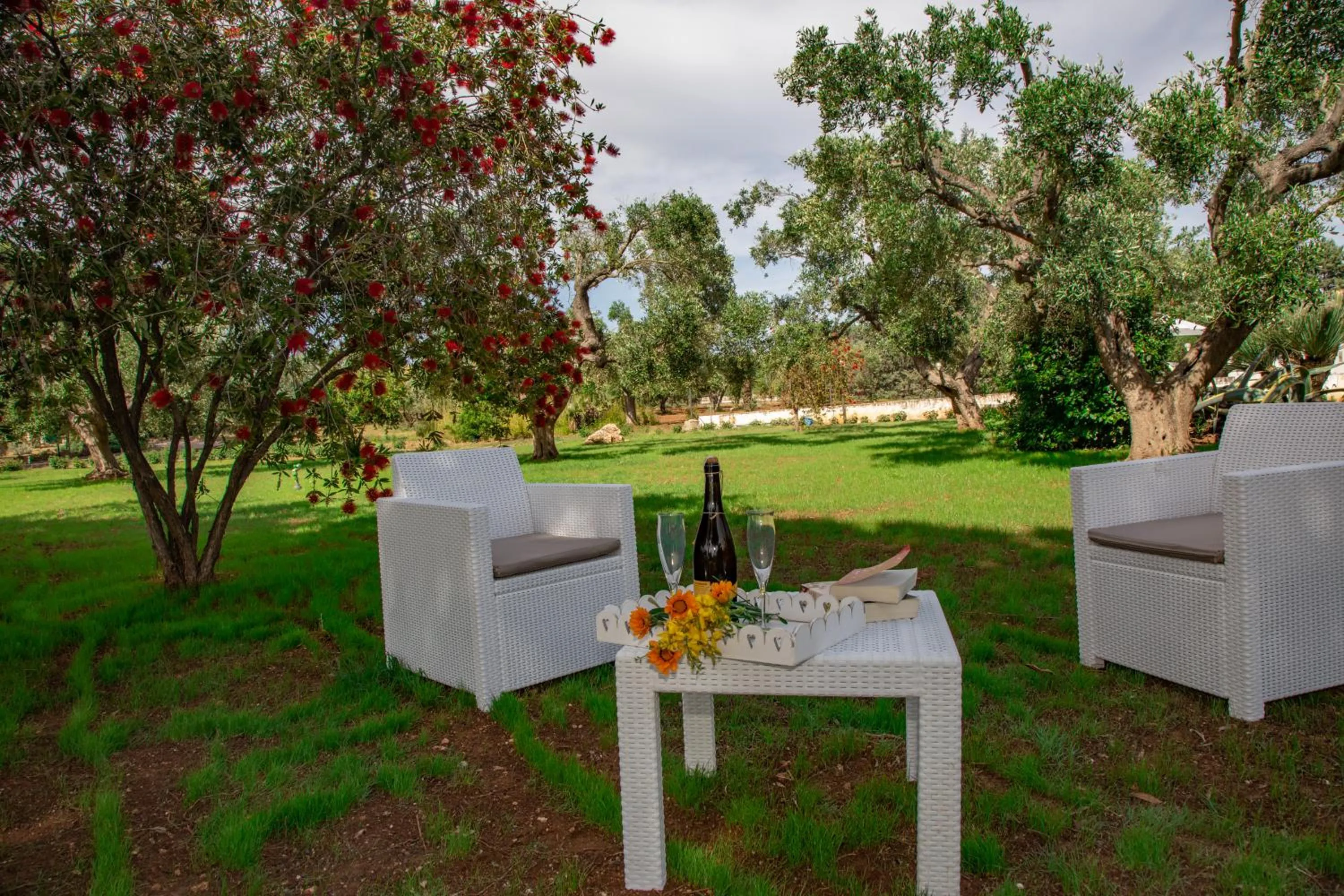 Garden in Relais d 'Itria