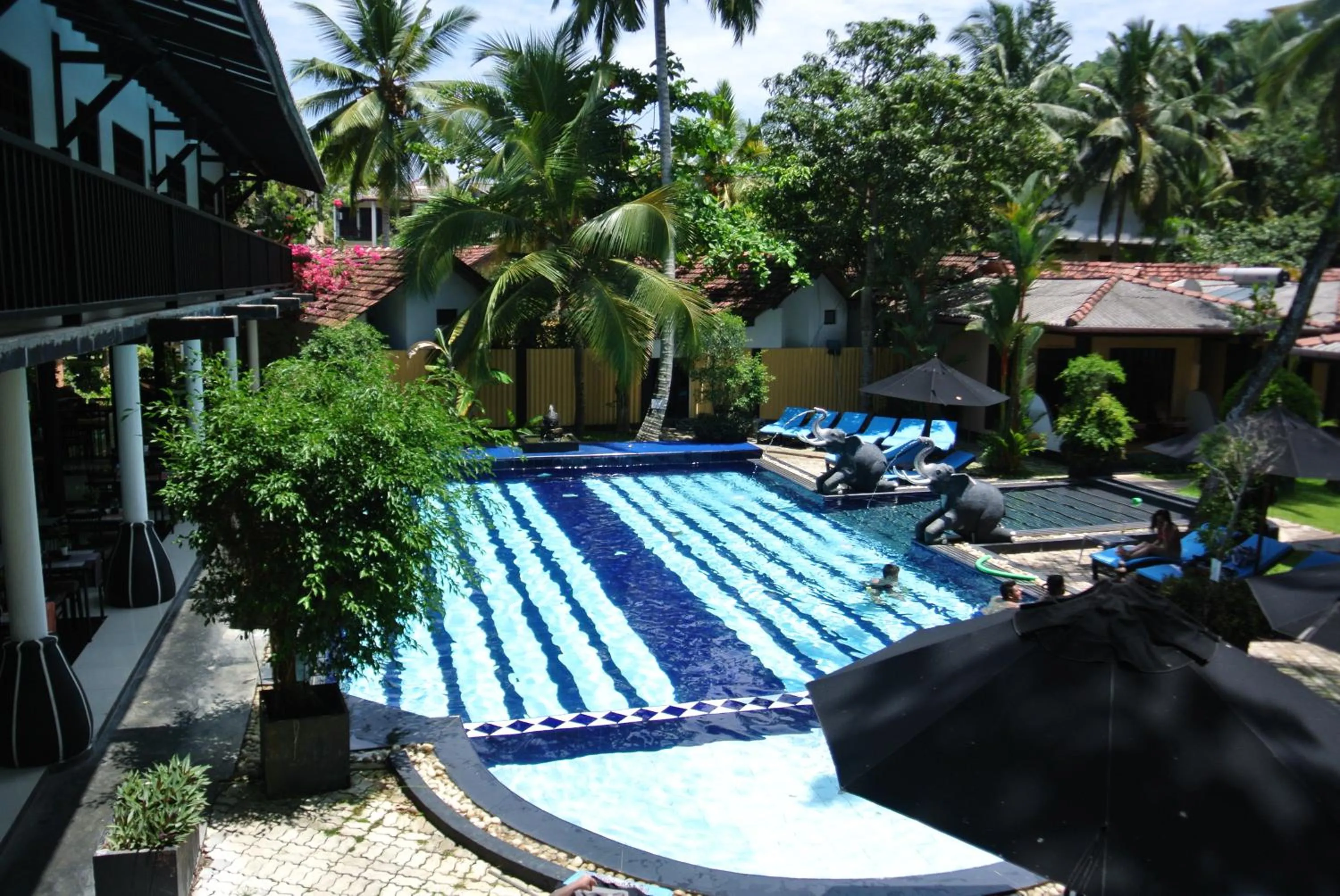 Swimming pool in Hotel Flower Garden