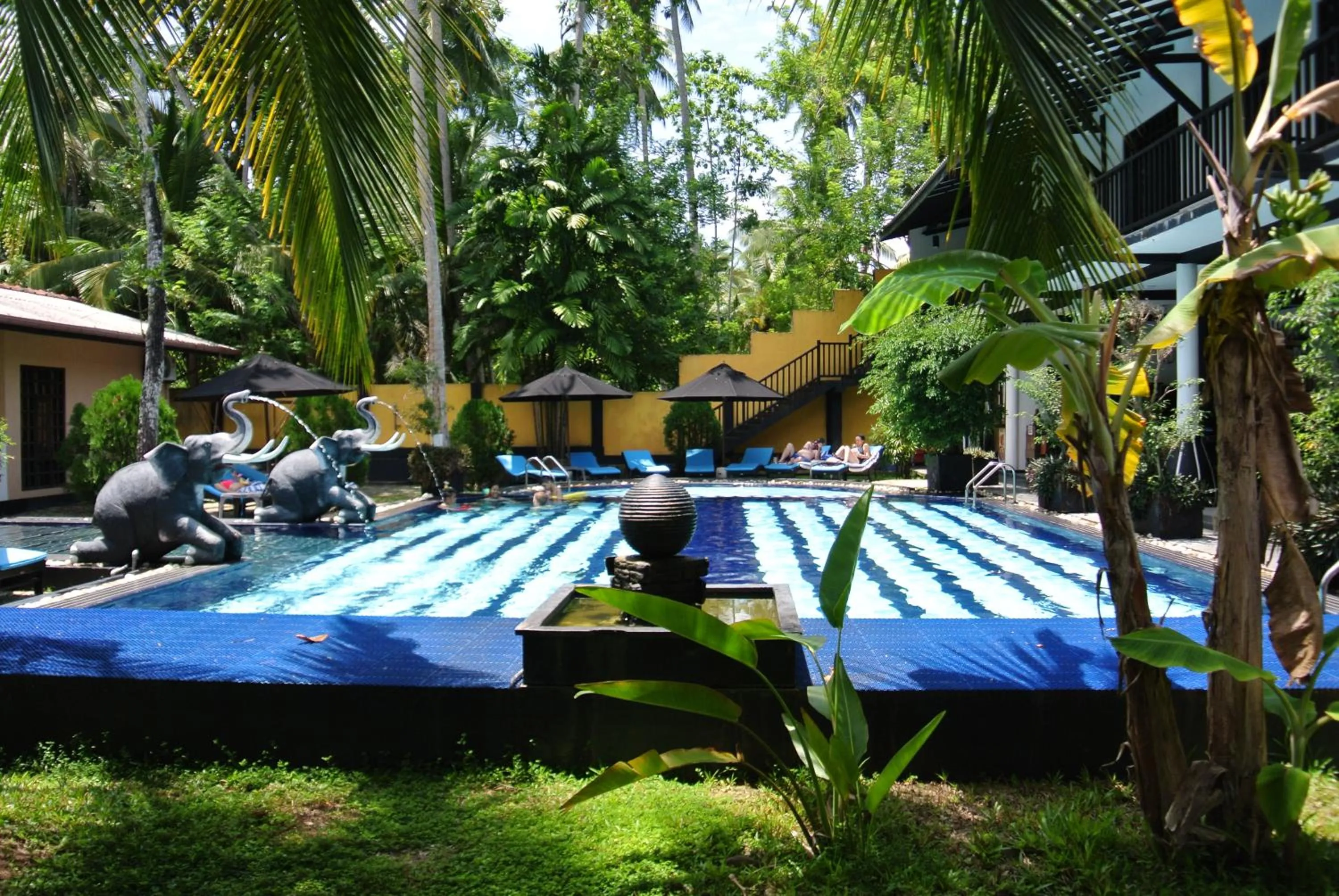 Swimming pool in Hotel Flower Garden
