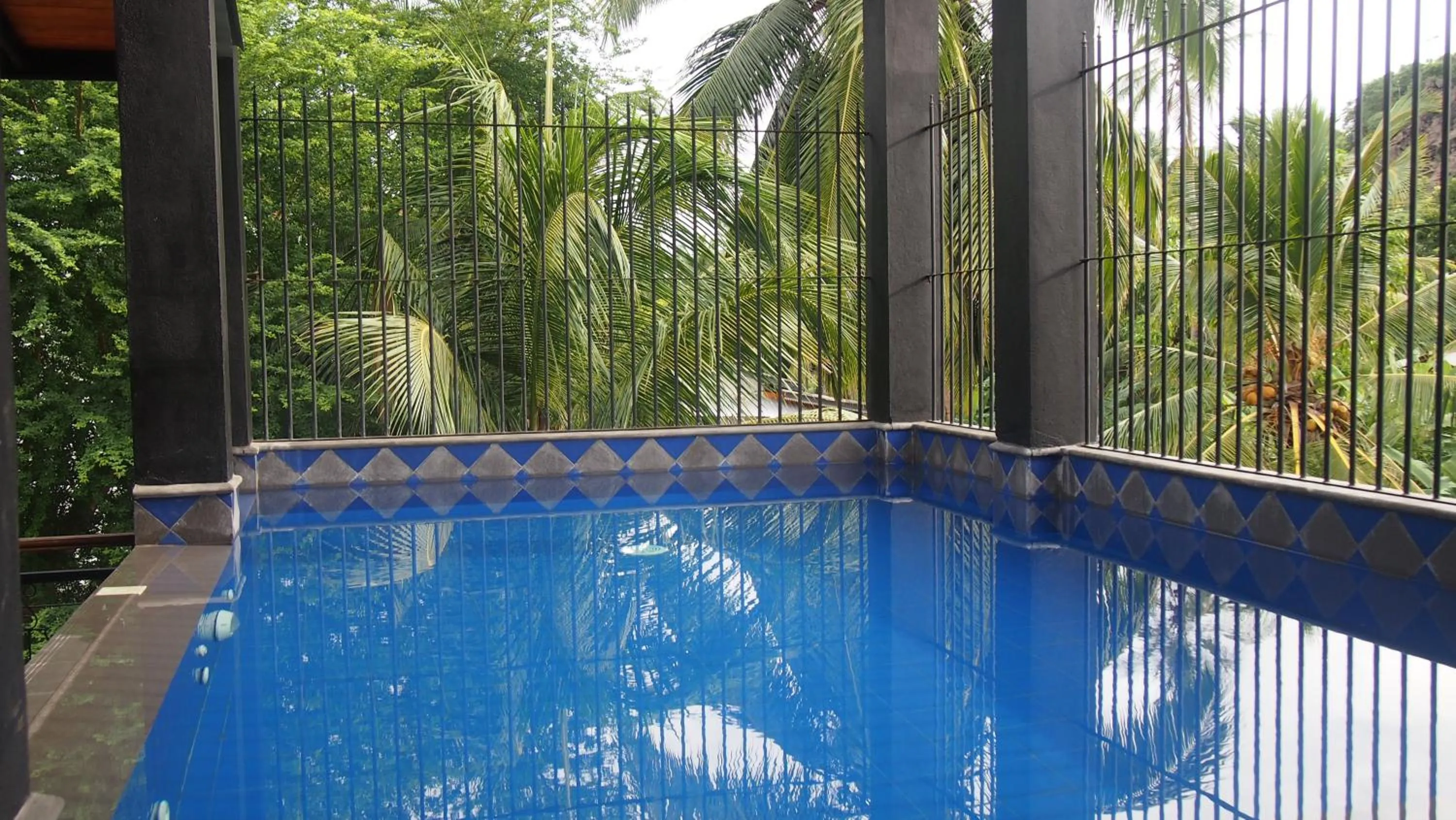 Swimming pool in Hotel Flower Garden