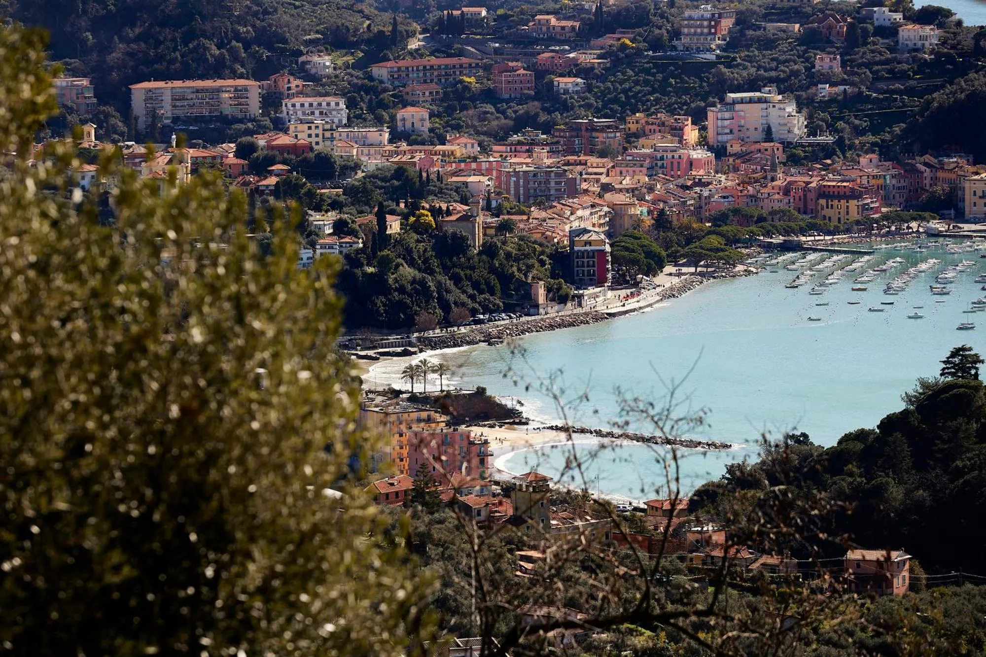 View (from property/room) in La Camelia Bianca B&B