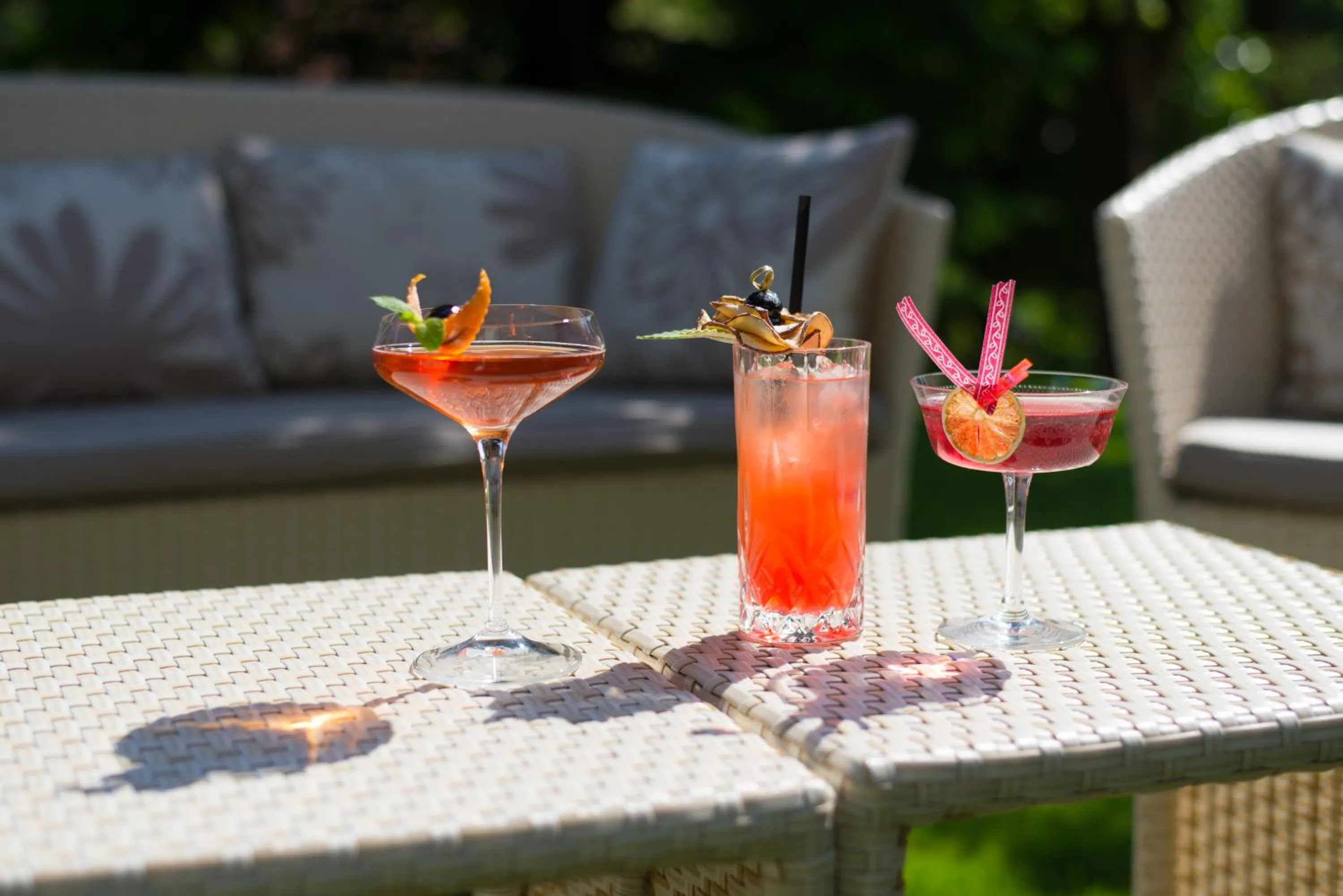 Garden in Hotel Due Torri