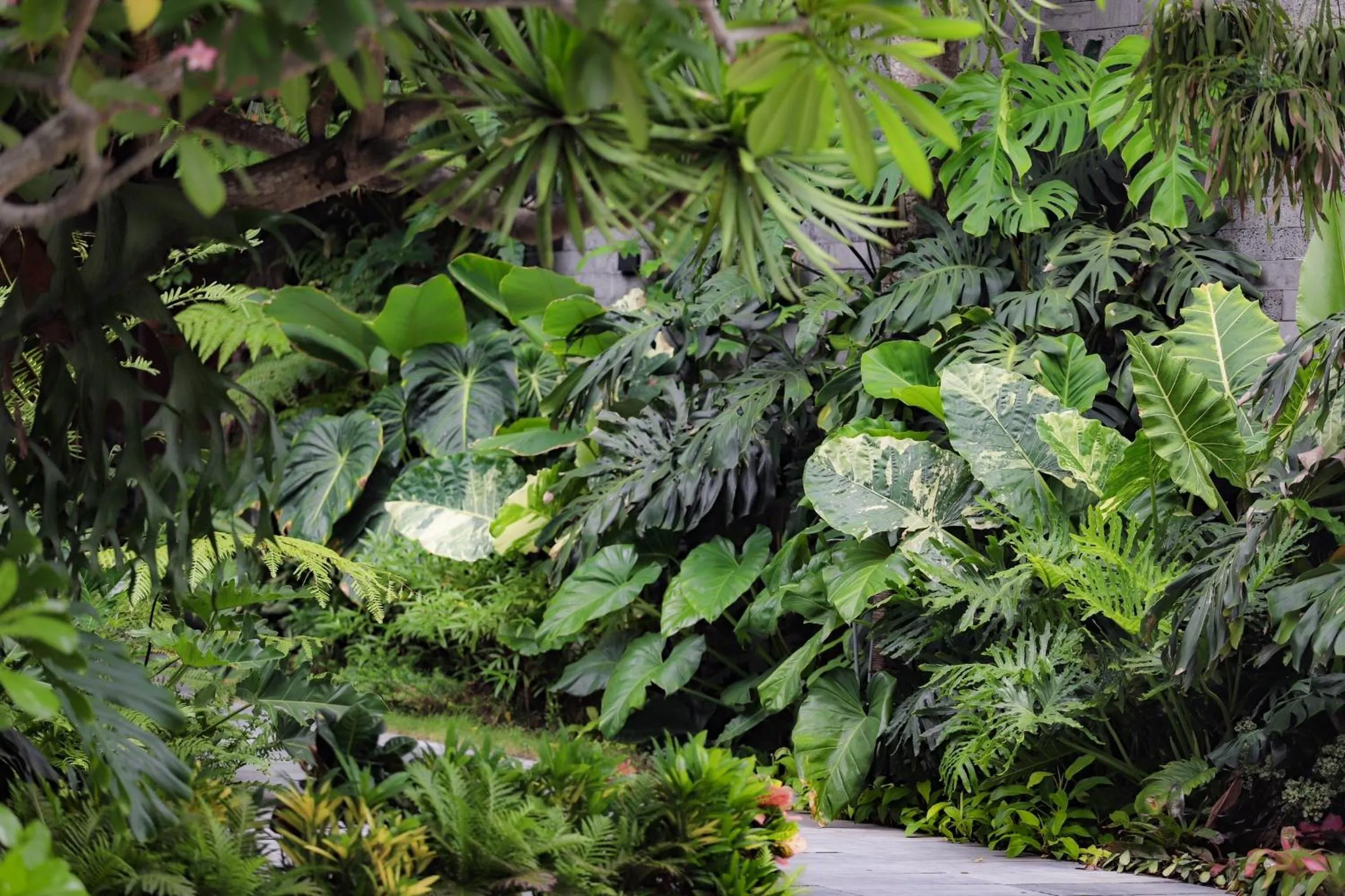 Garden in K House Apartment Danang Beach