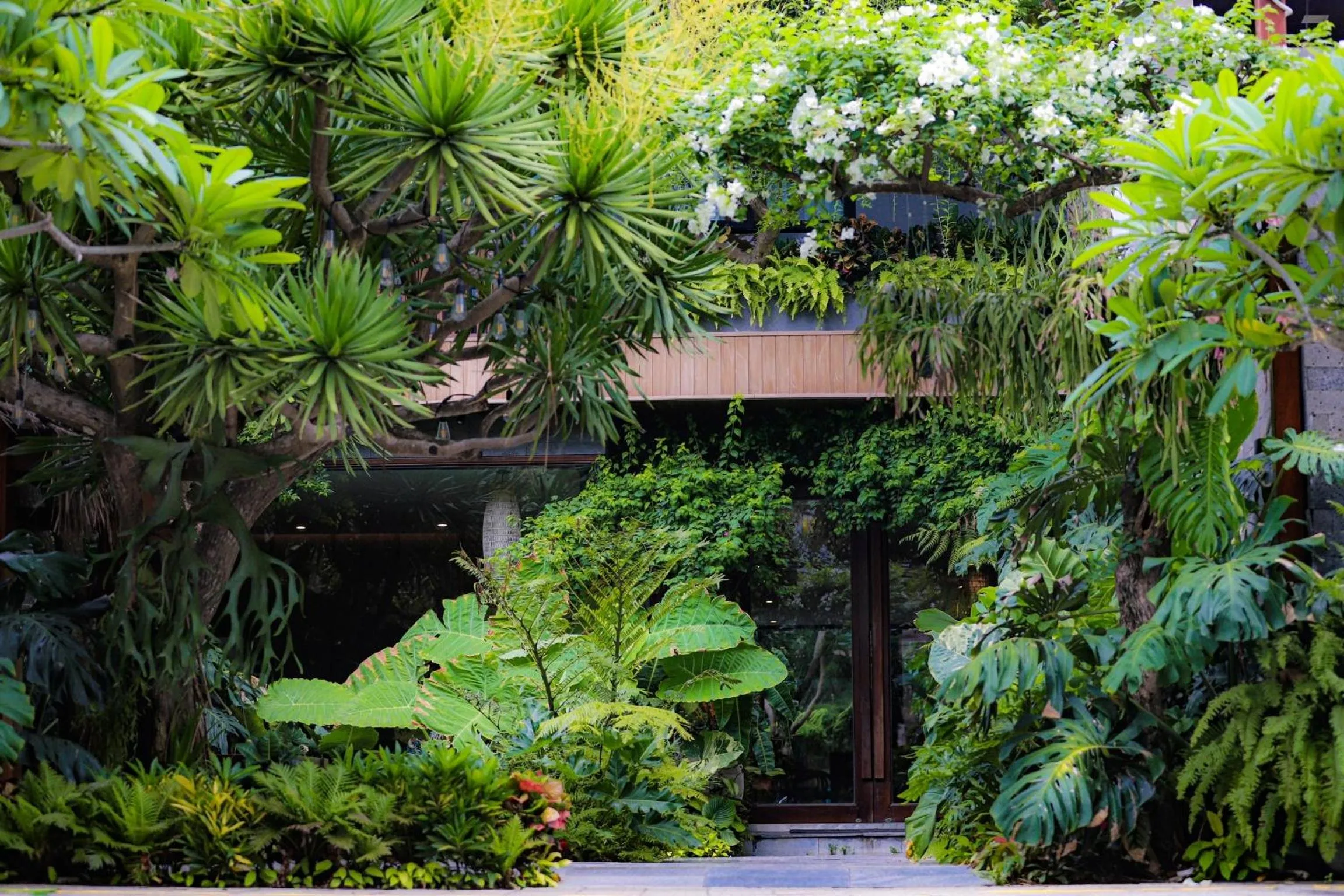 Natural landscape in K House Apartment Danang Beach